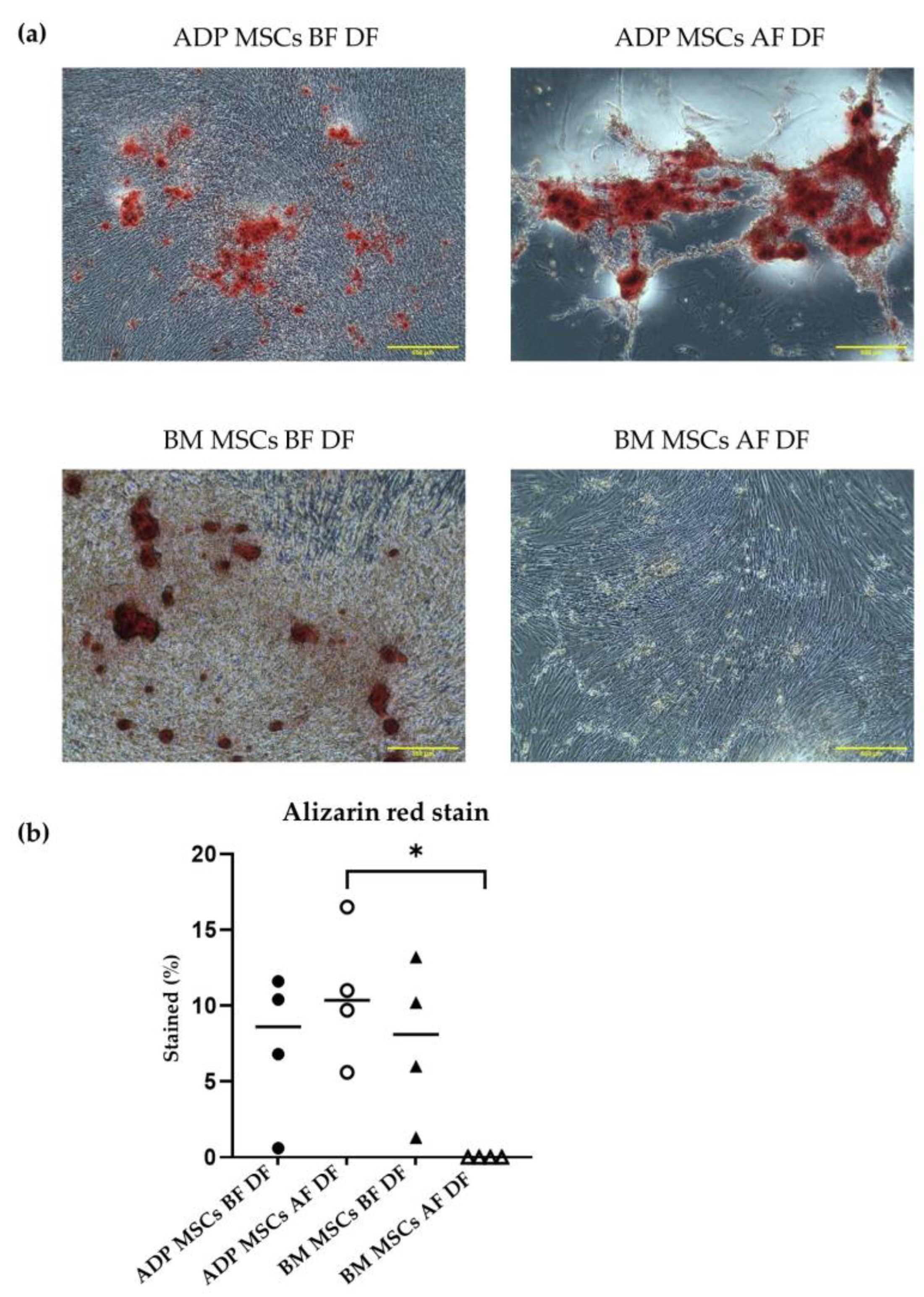 Biology 12 01312 g008