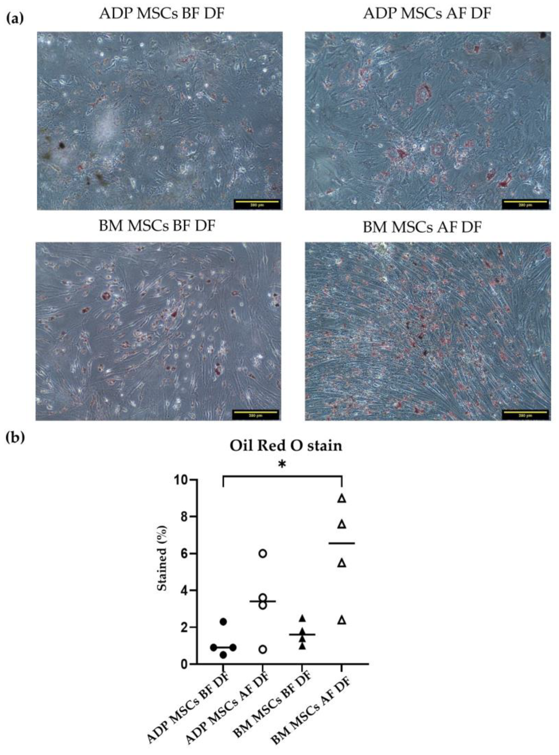 Biology 12 01312 g010