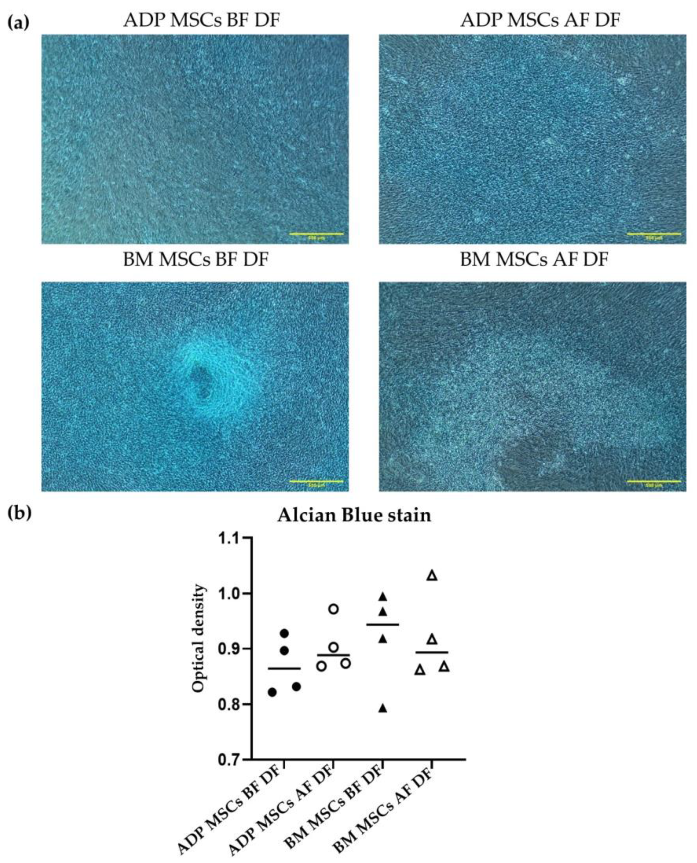 Biology 12 01312 g011