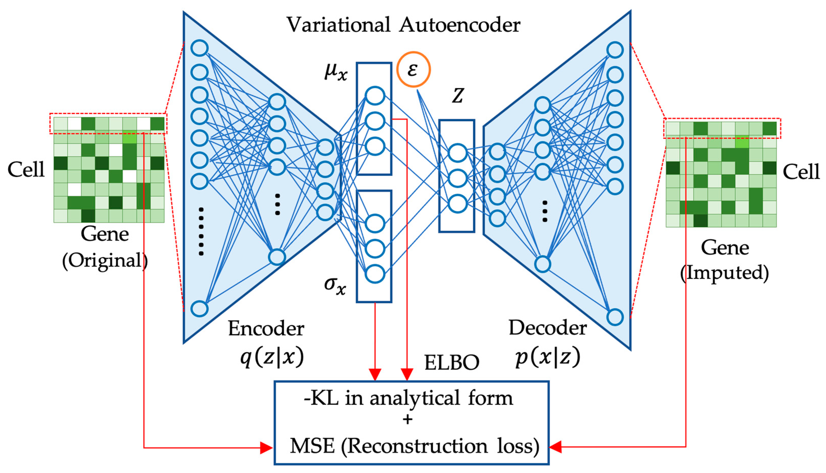 Biology 12 01313 g002