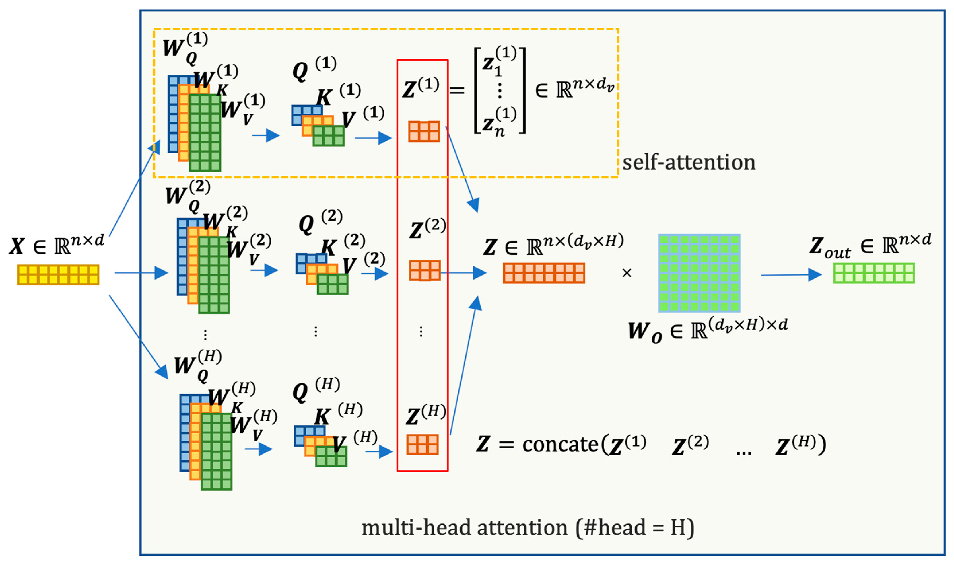 Biology 12 01313 g005