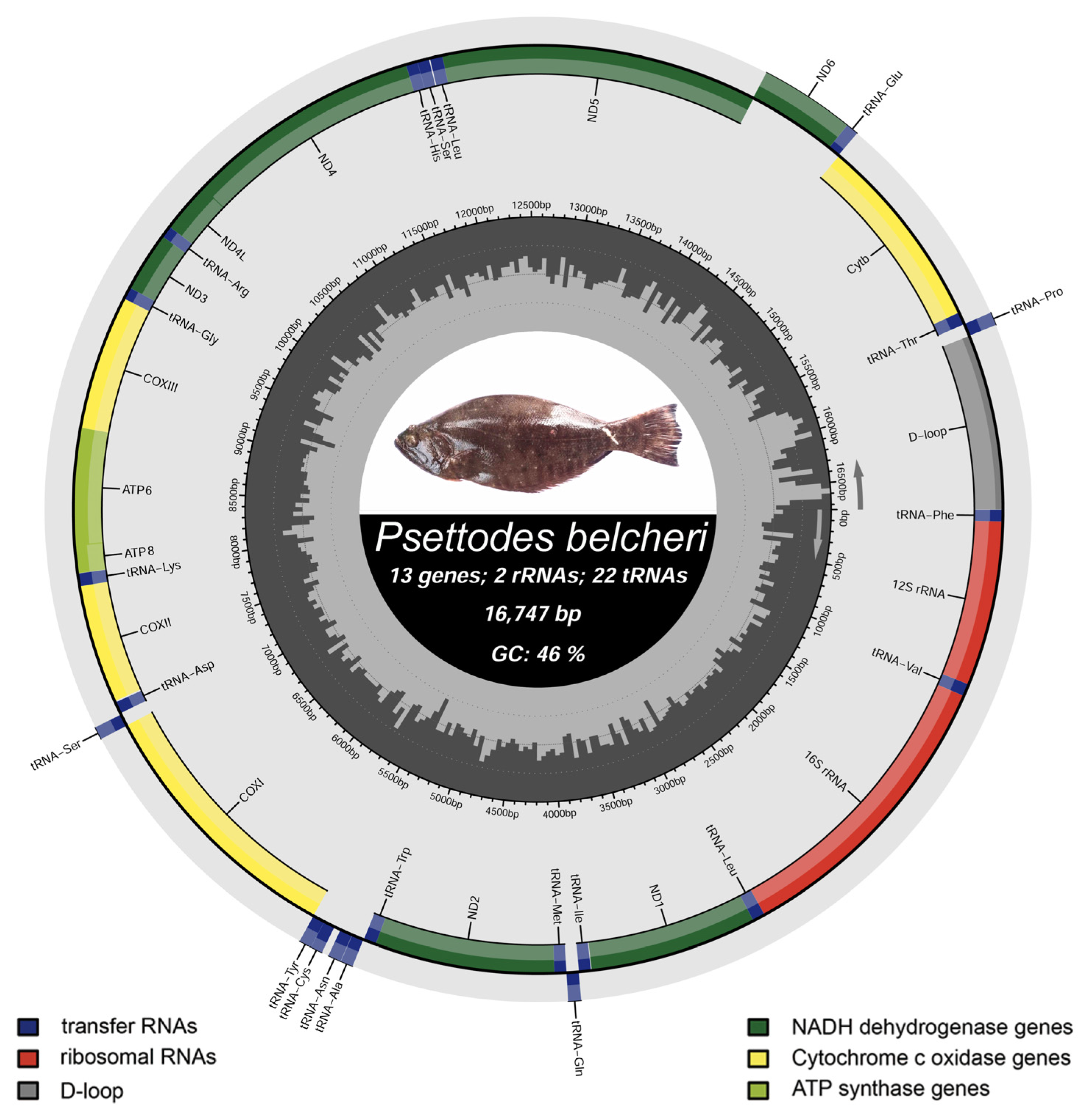 Biology 12 01317 g002 Biology 12 01317 g002