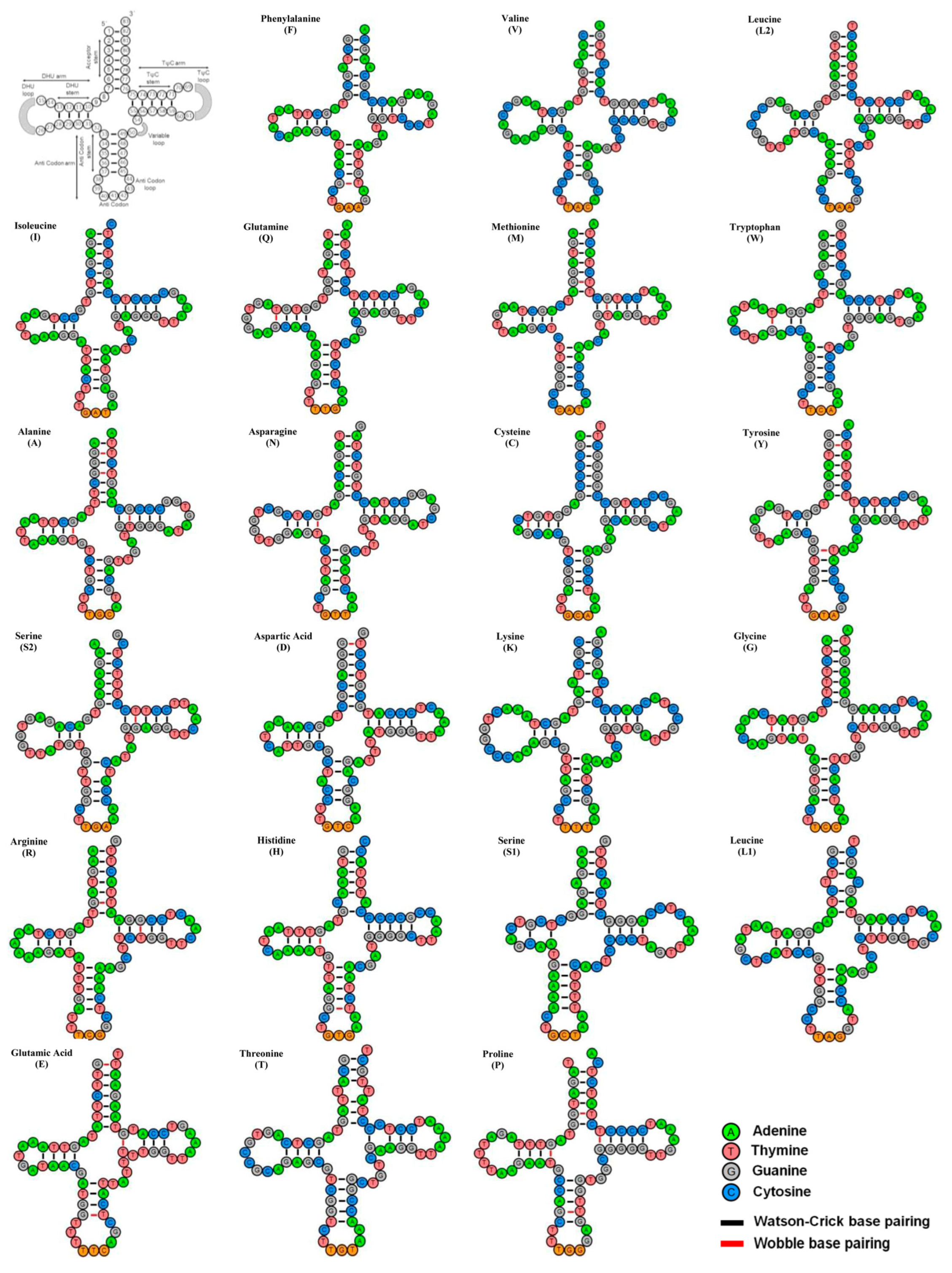 Biology 12 01317 g003 Biology 12 01317 g003