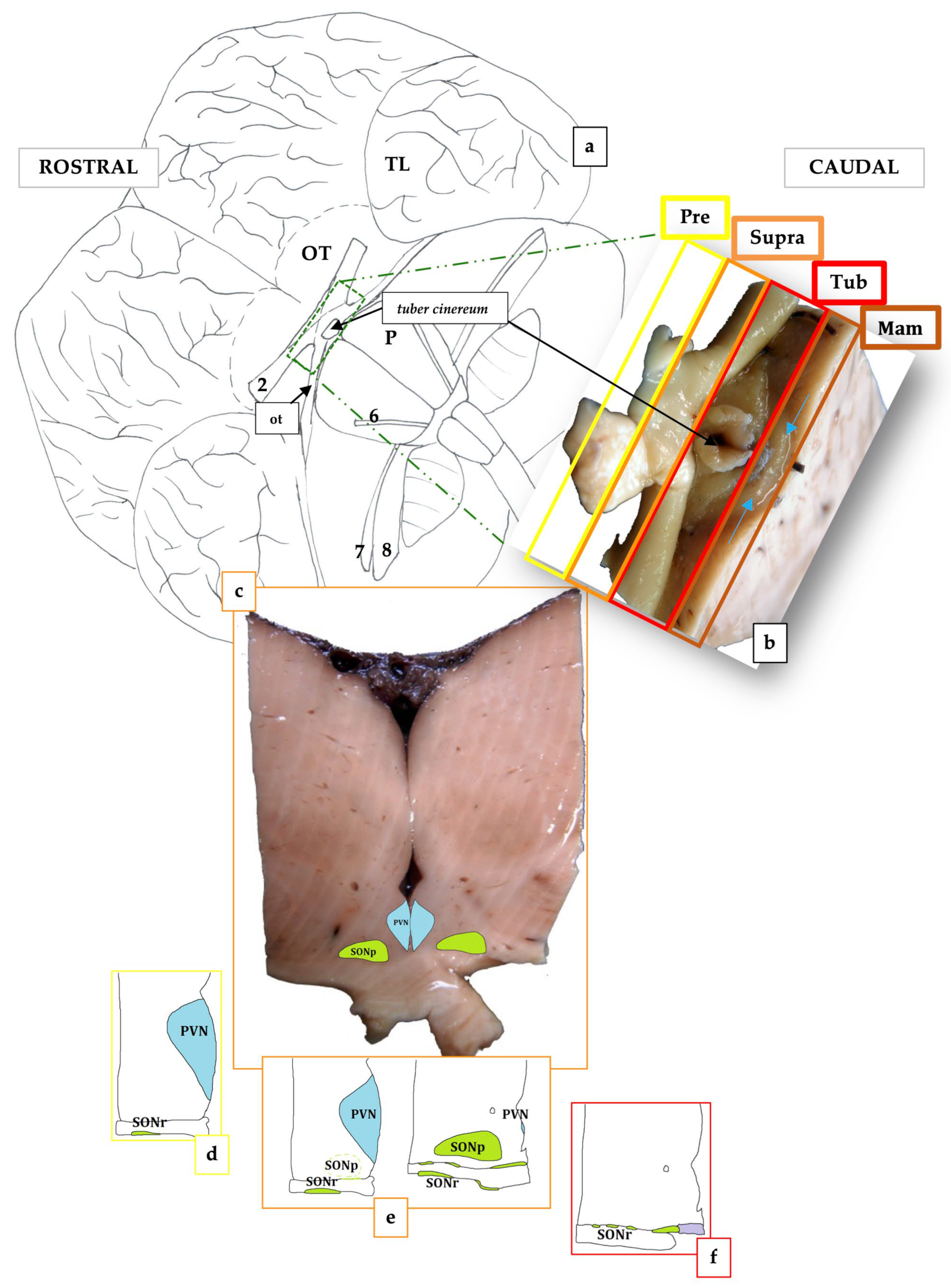 Biology 12 01319 g002 Biology 12 01319 g002
