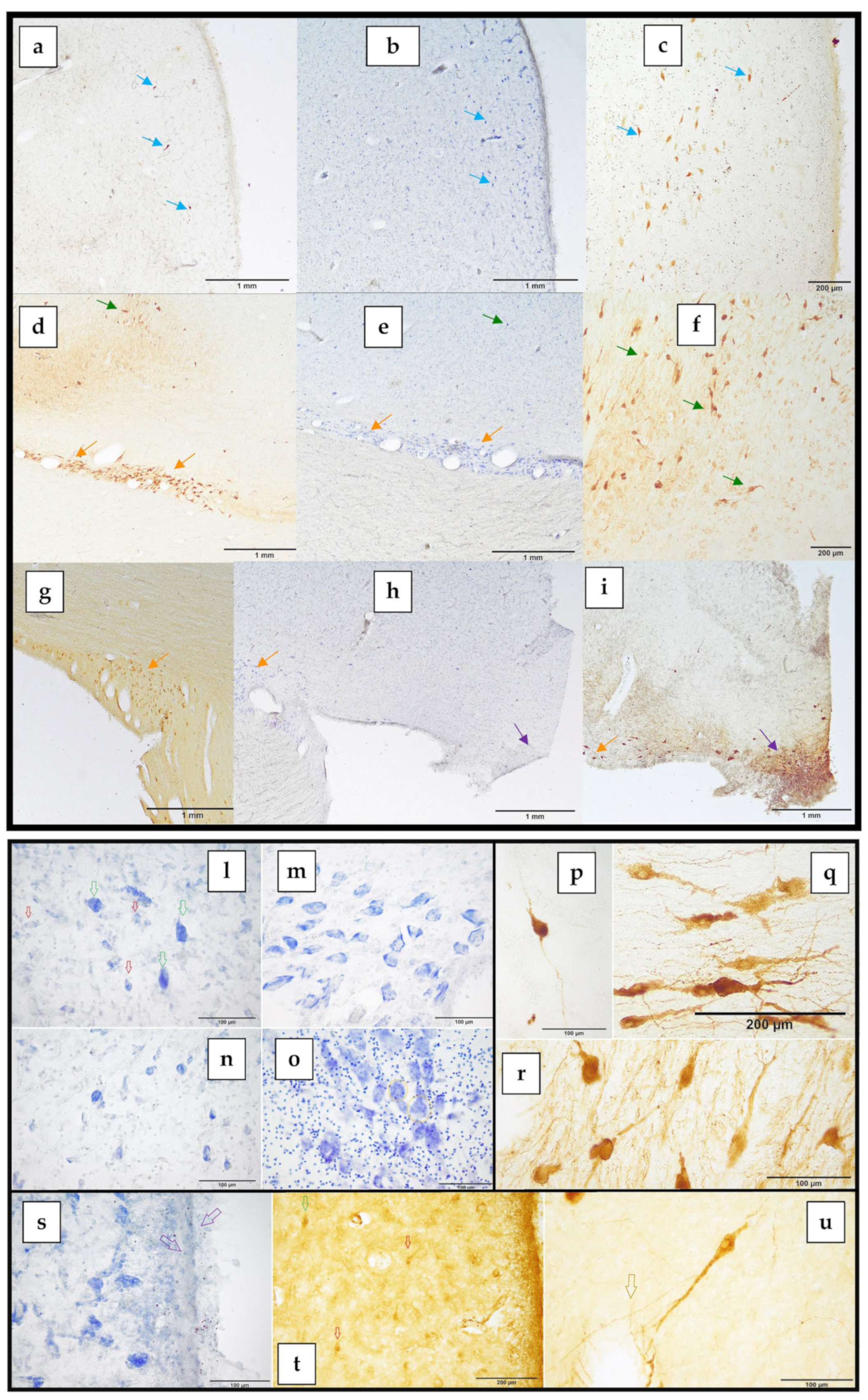 Biology 12 01319 g003 Biology 12 01319 g003
