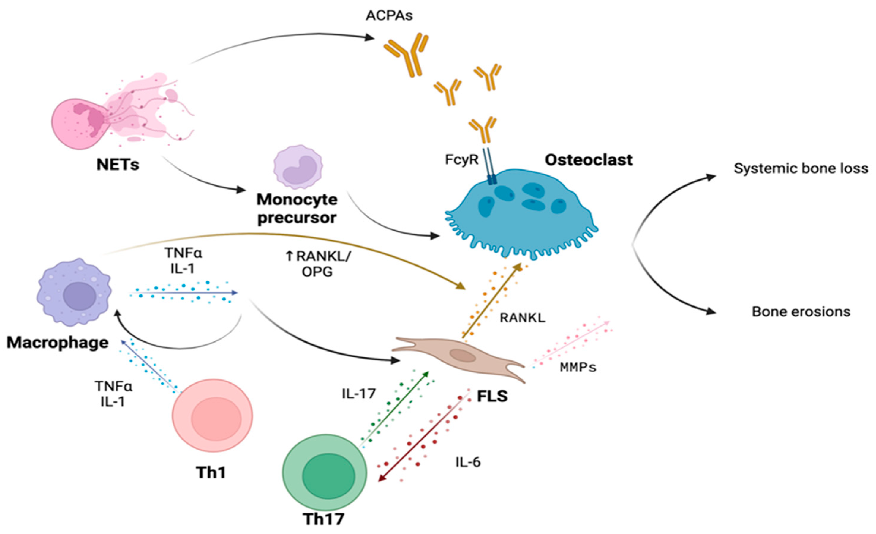 Biology 12 01320 g001