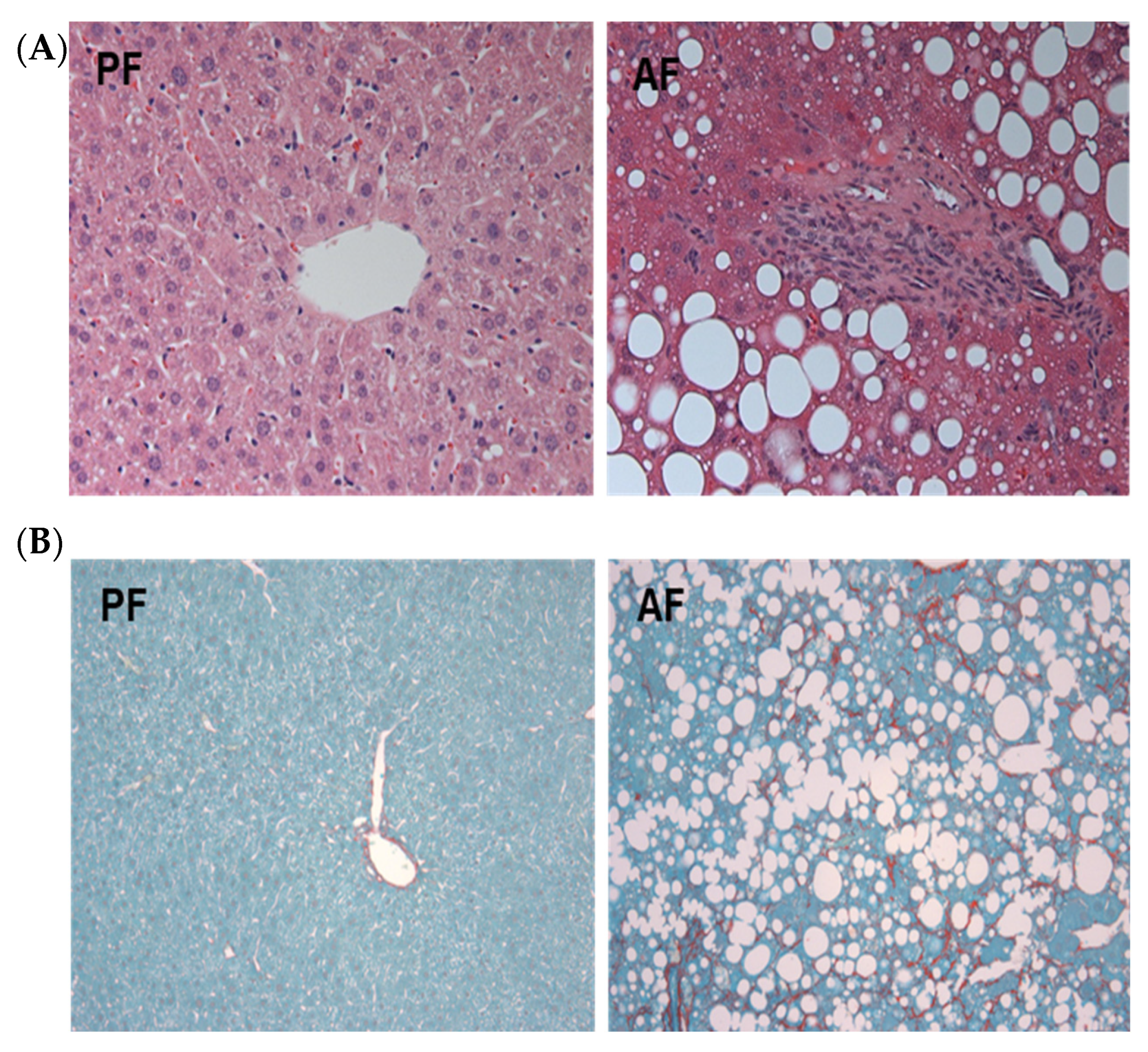 Biology 12 01321 g001