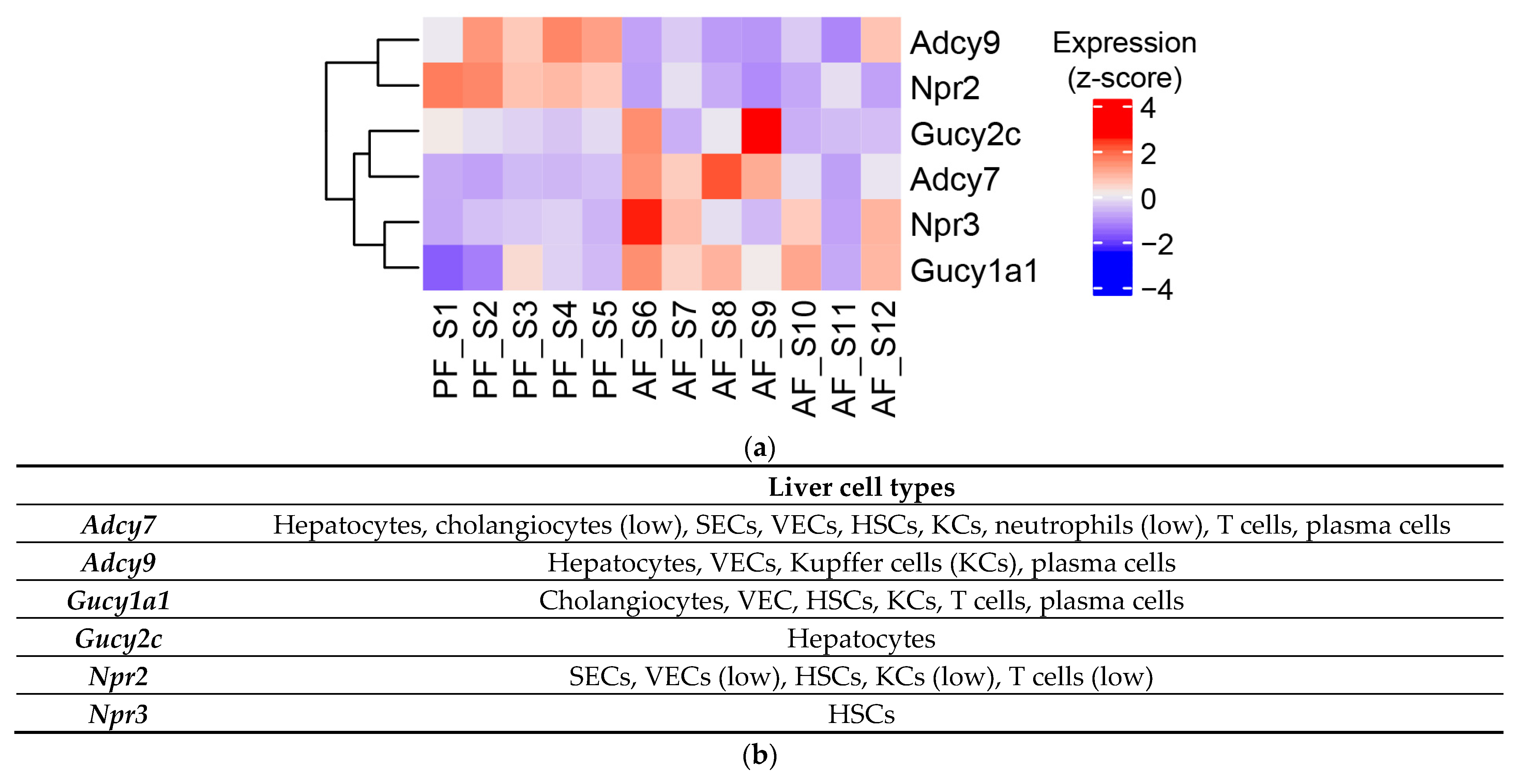 Biology 12 01321 g006