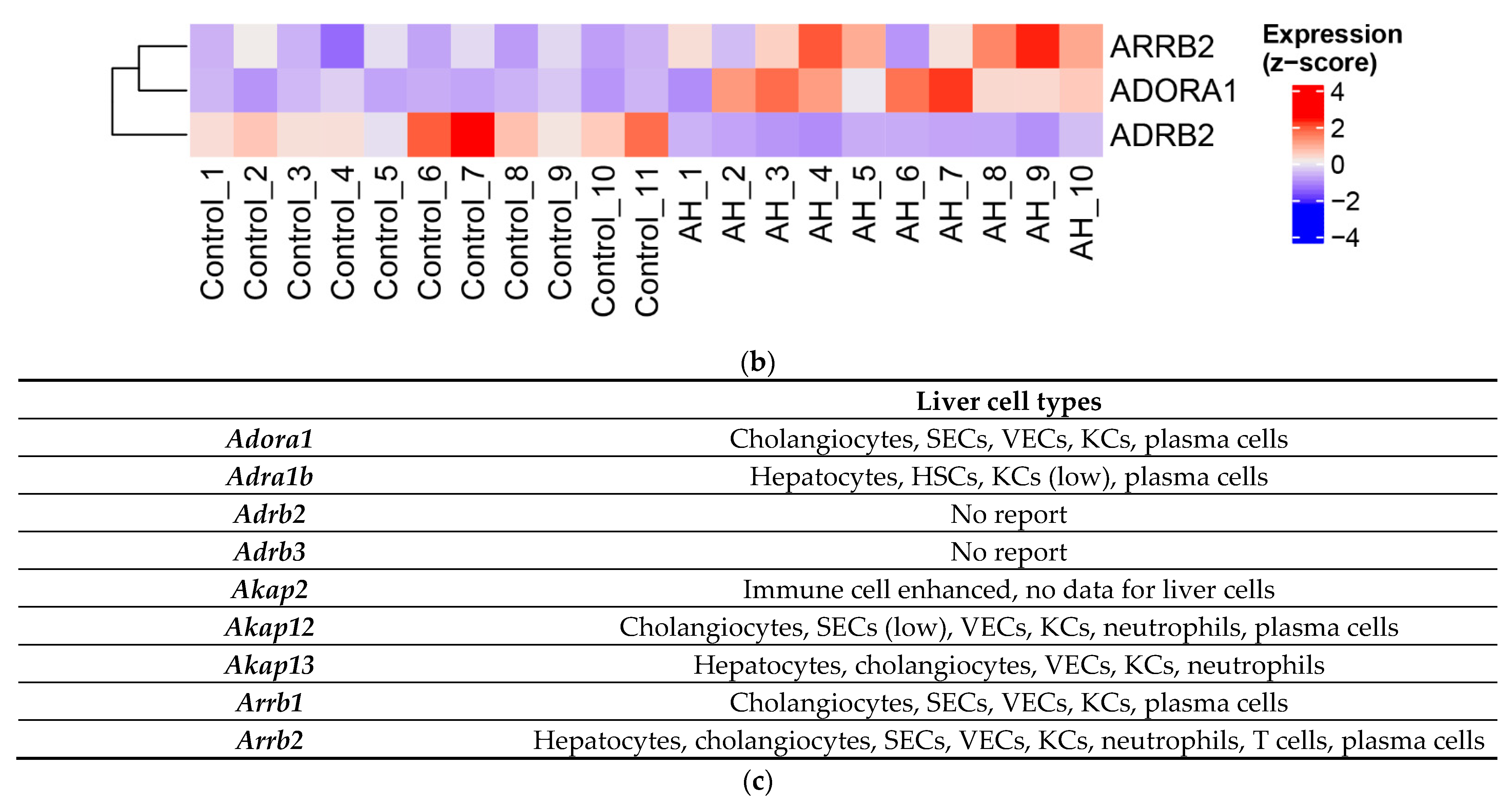 Biology 12 01321 g007b