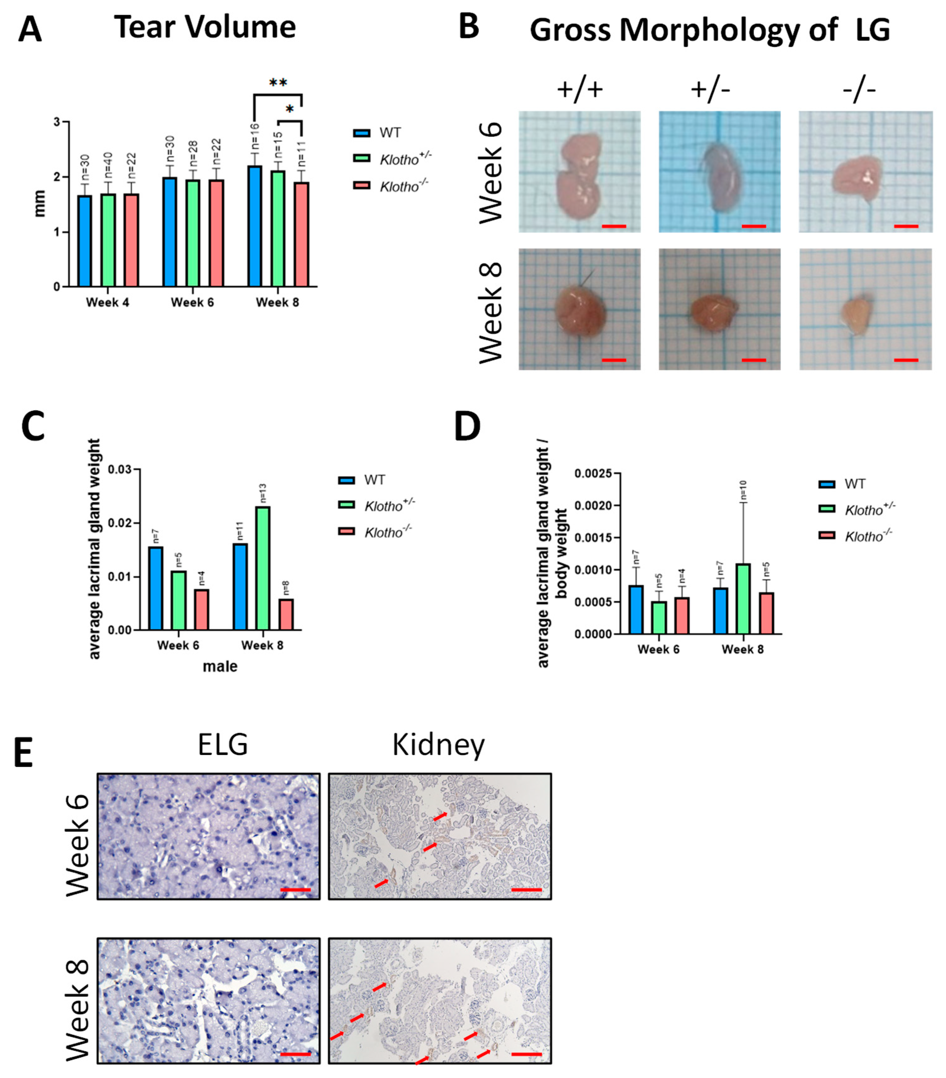 Biology 12 01328 g001 Biology 12 01328 g001