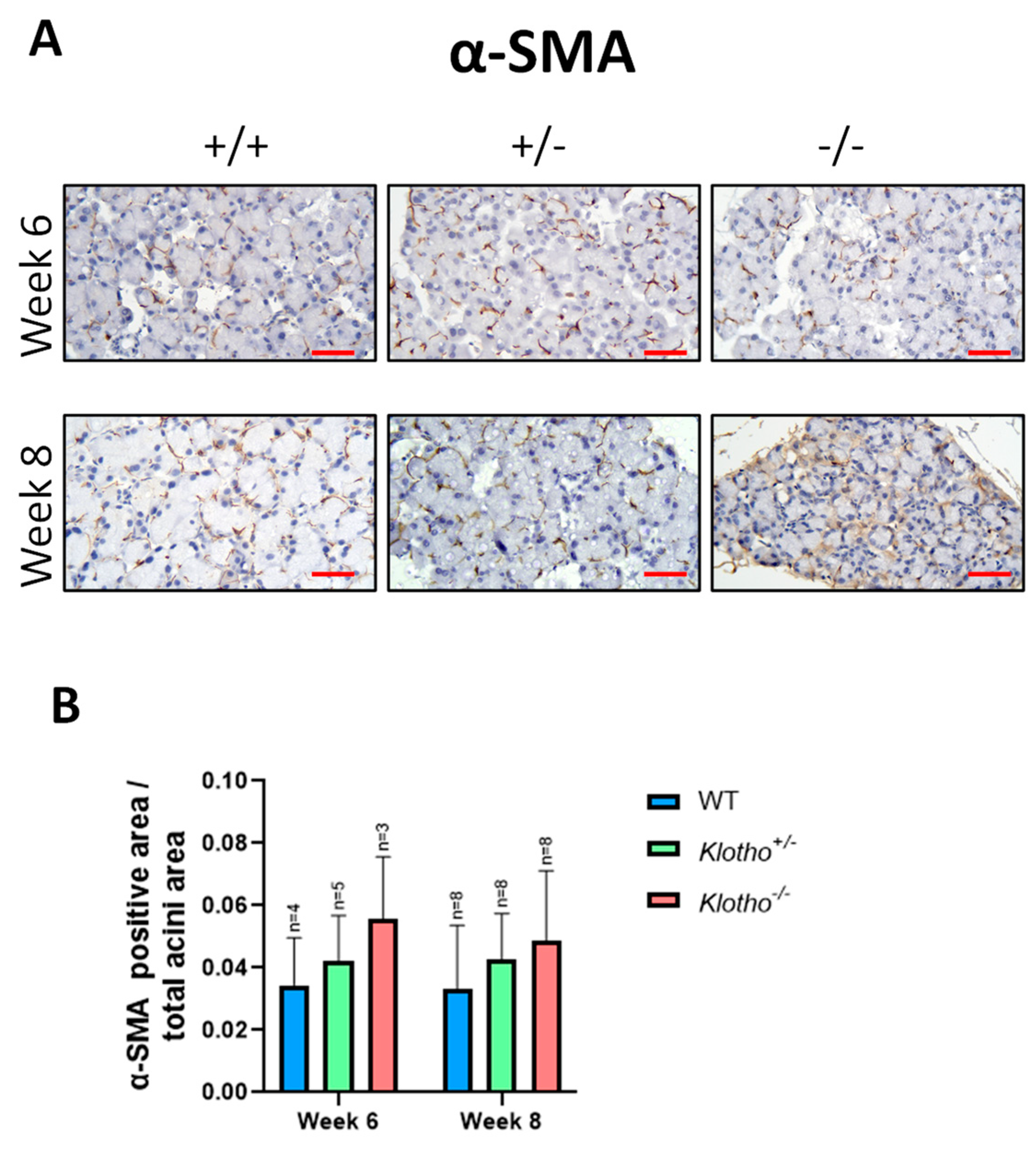 Biology 12 01328 g005 Biology 12 01328 g005