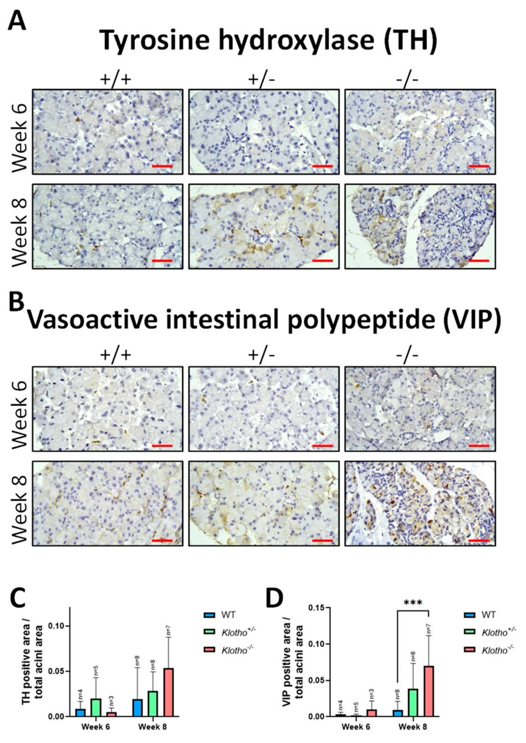 Biology 12 01328 g007 Biology 12 01328 g007