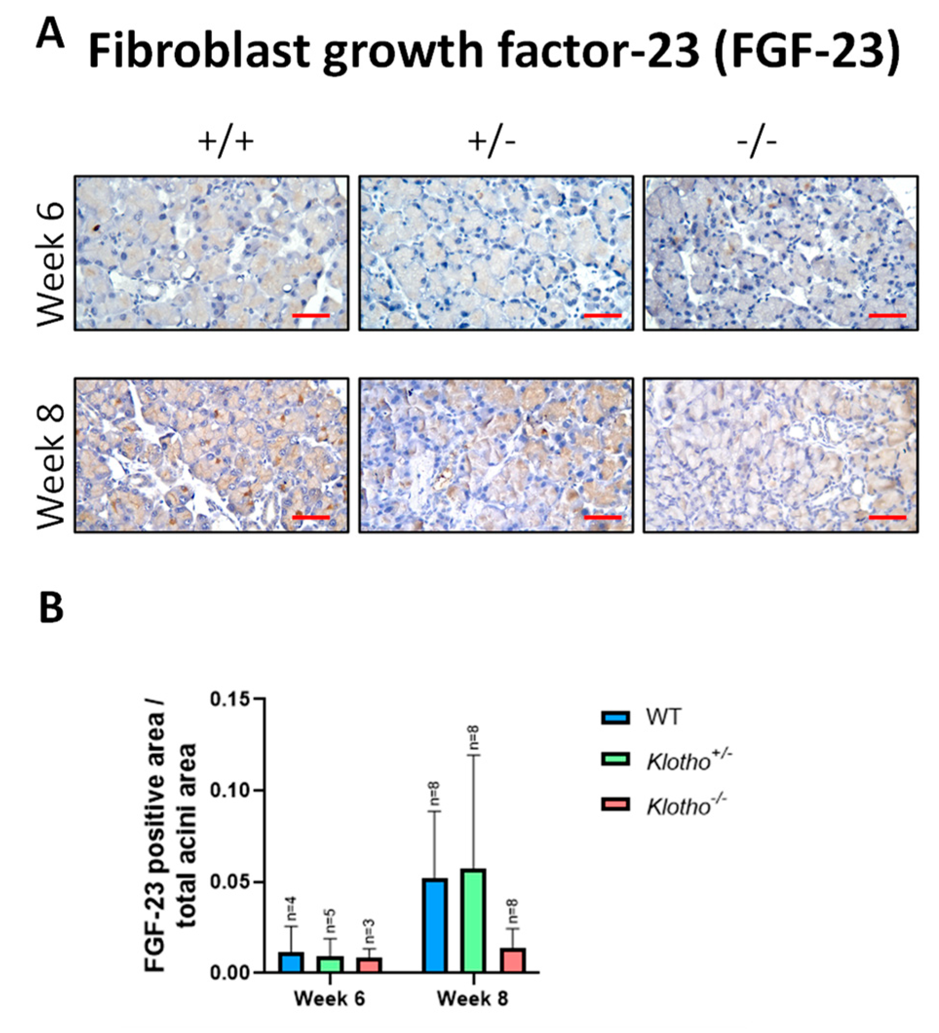 Biology 12 01328 g008 Biology 12 01328 g008