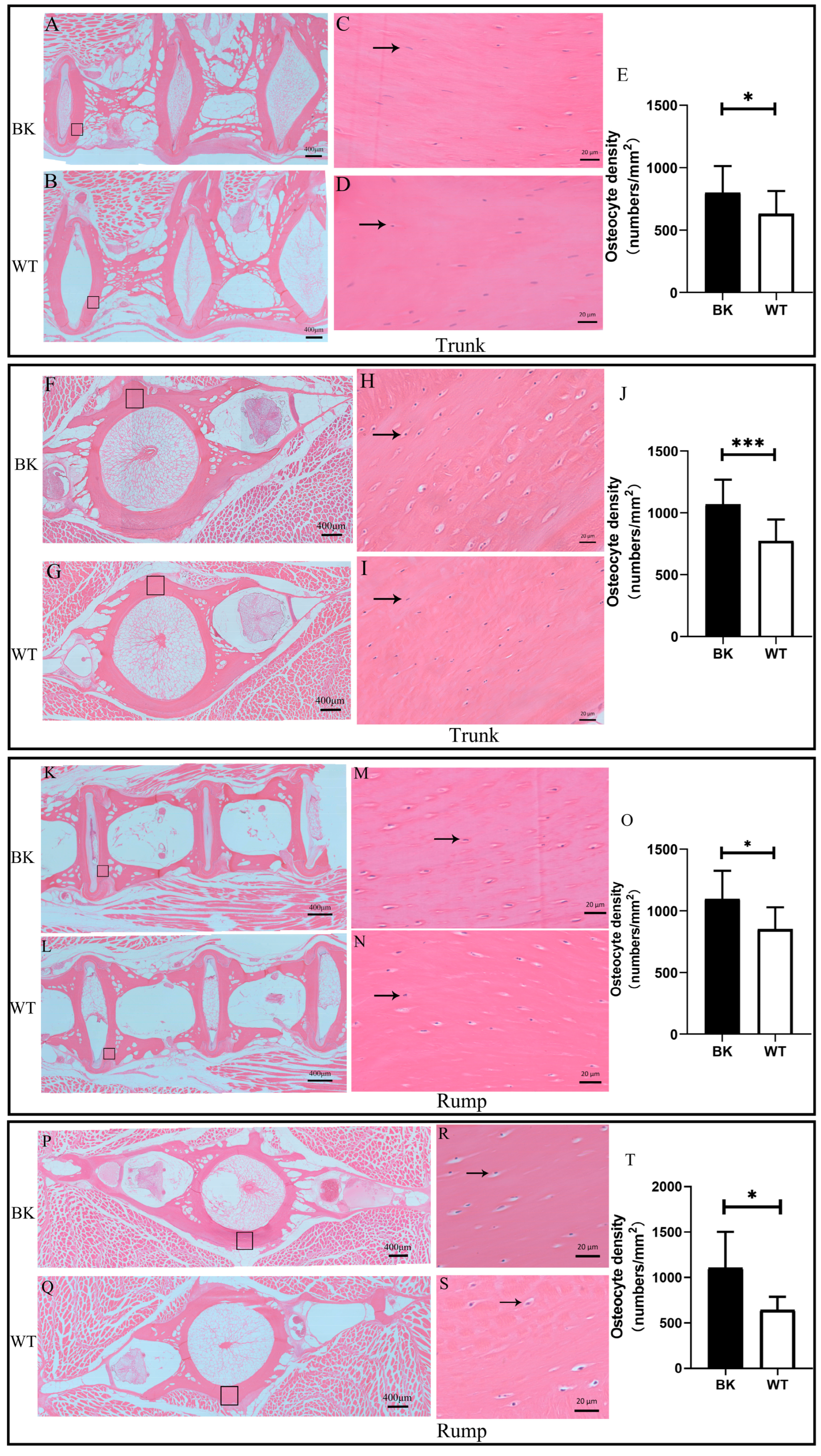 Biology 12 01331 g005