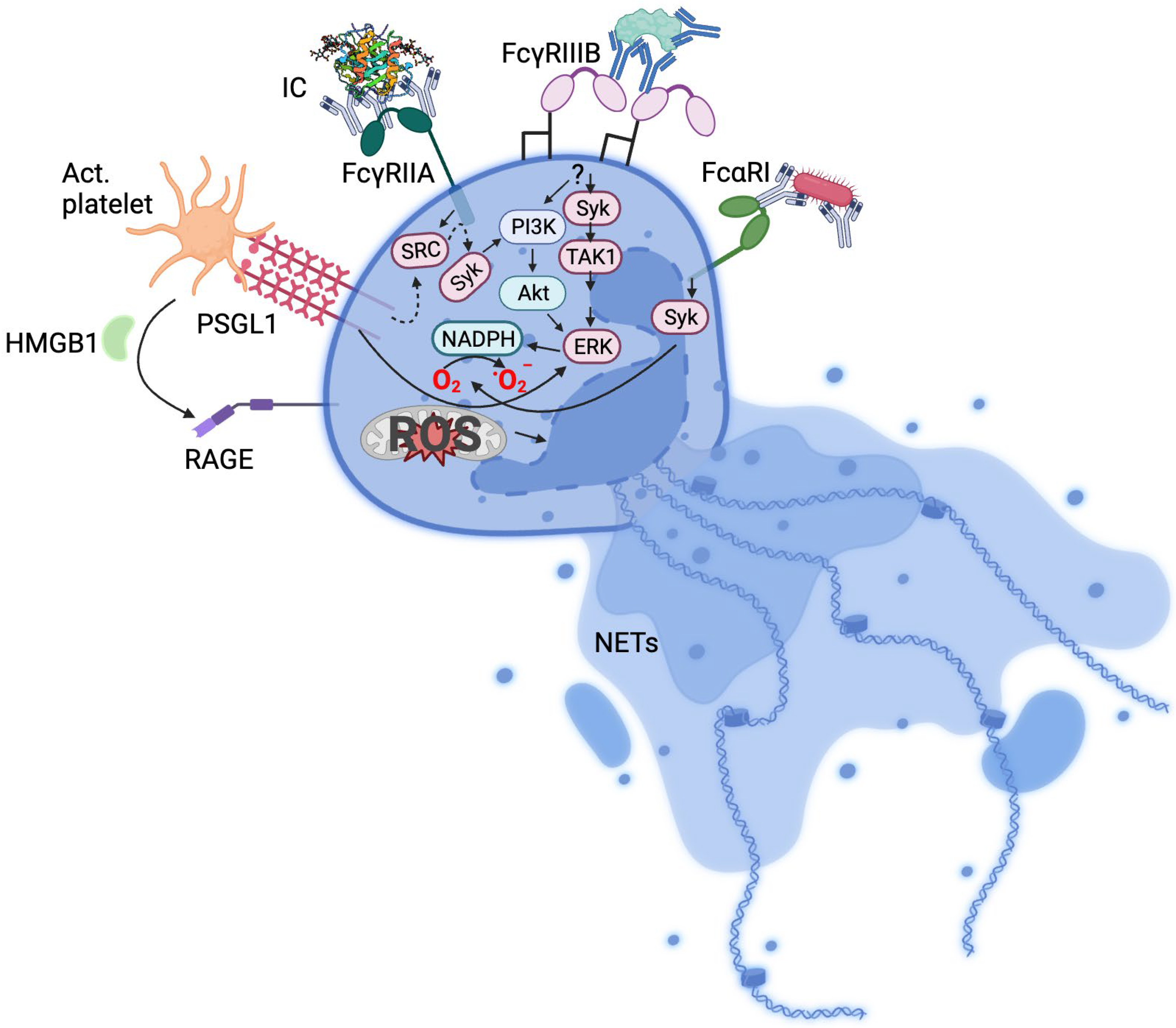 Biology 12 01332 g001