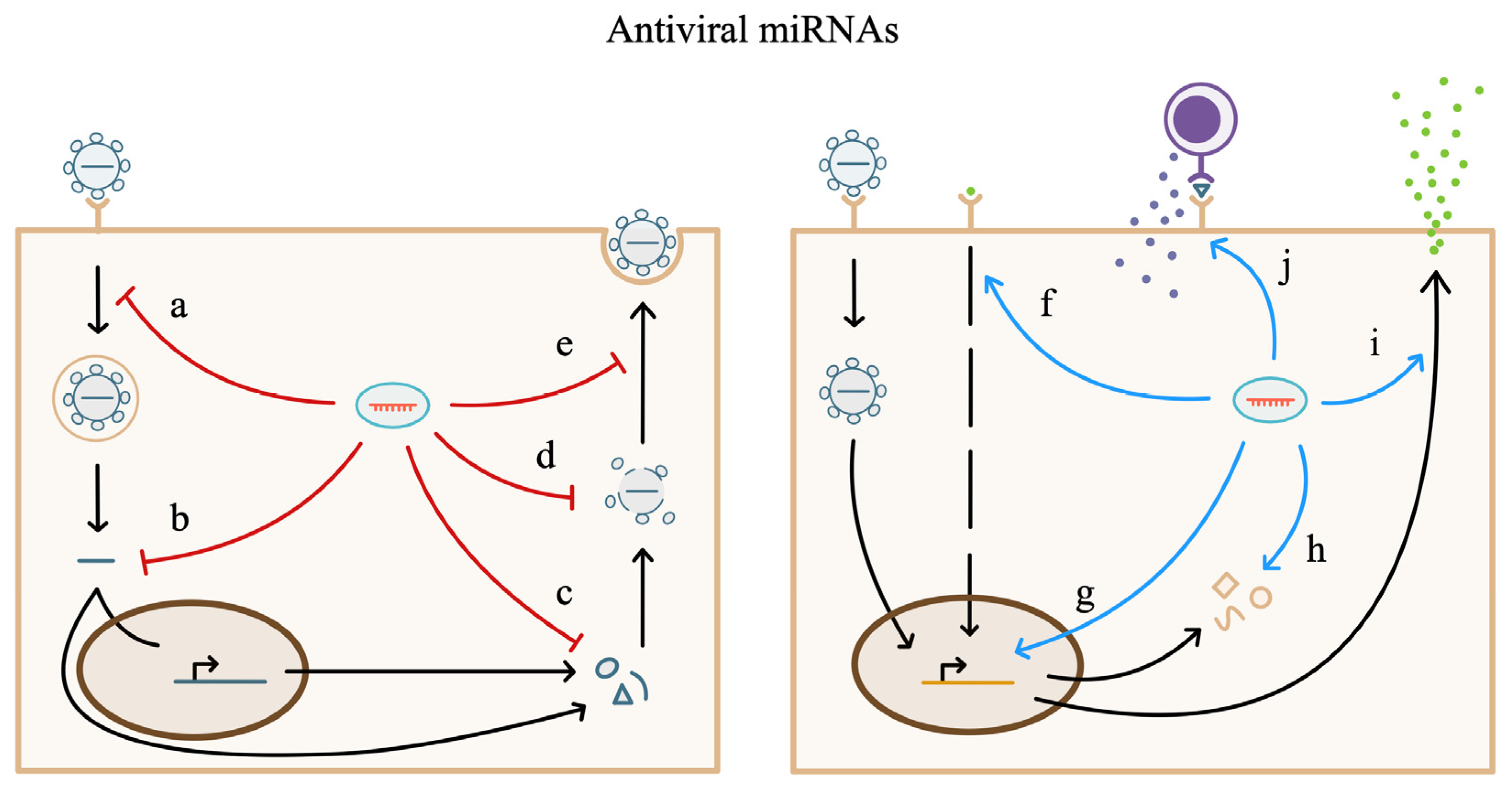 Biology 12 01334 g003 Biology 12 01334 g003