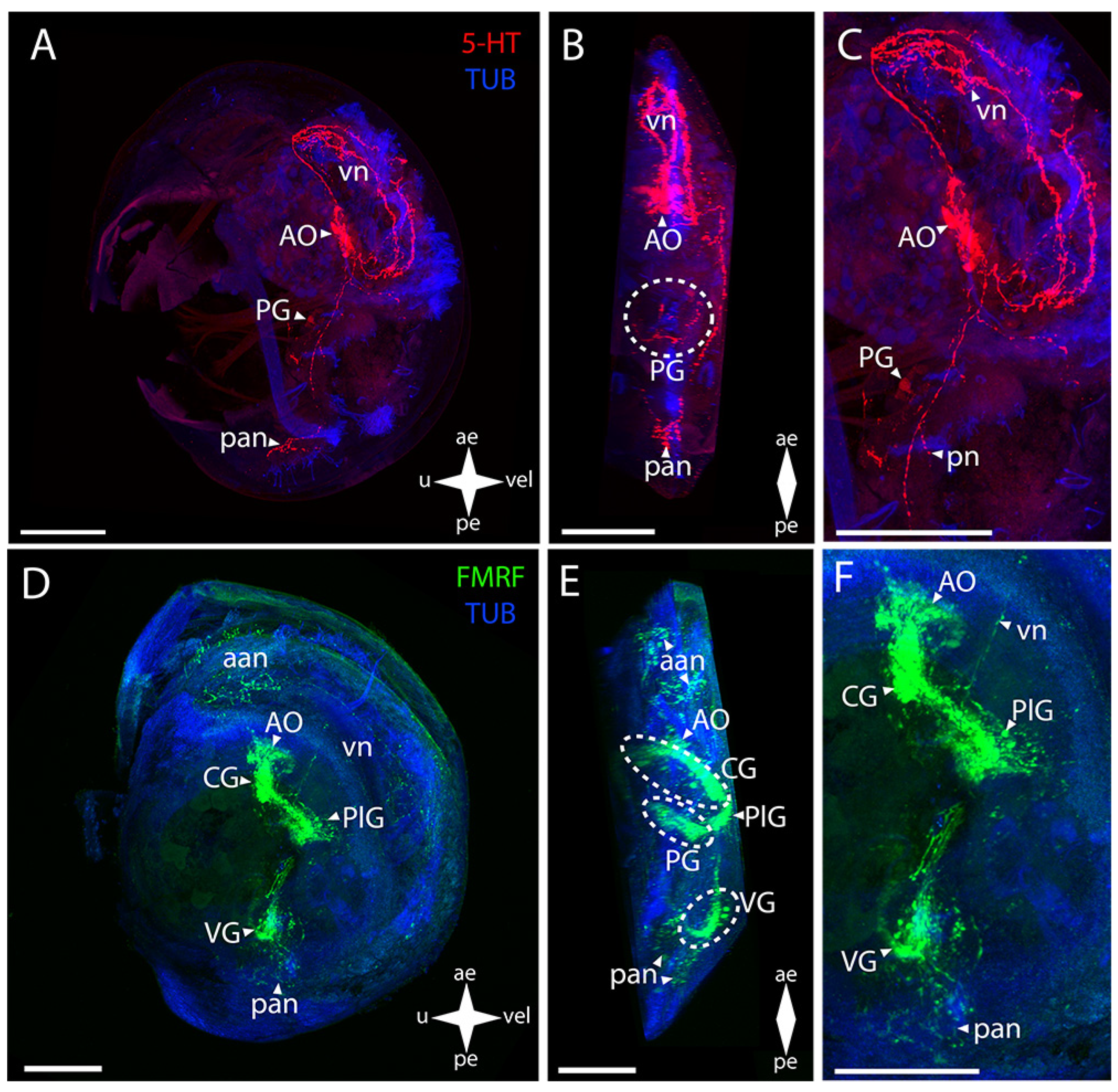 Biology 12 01341 g006