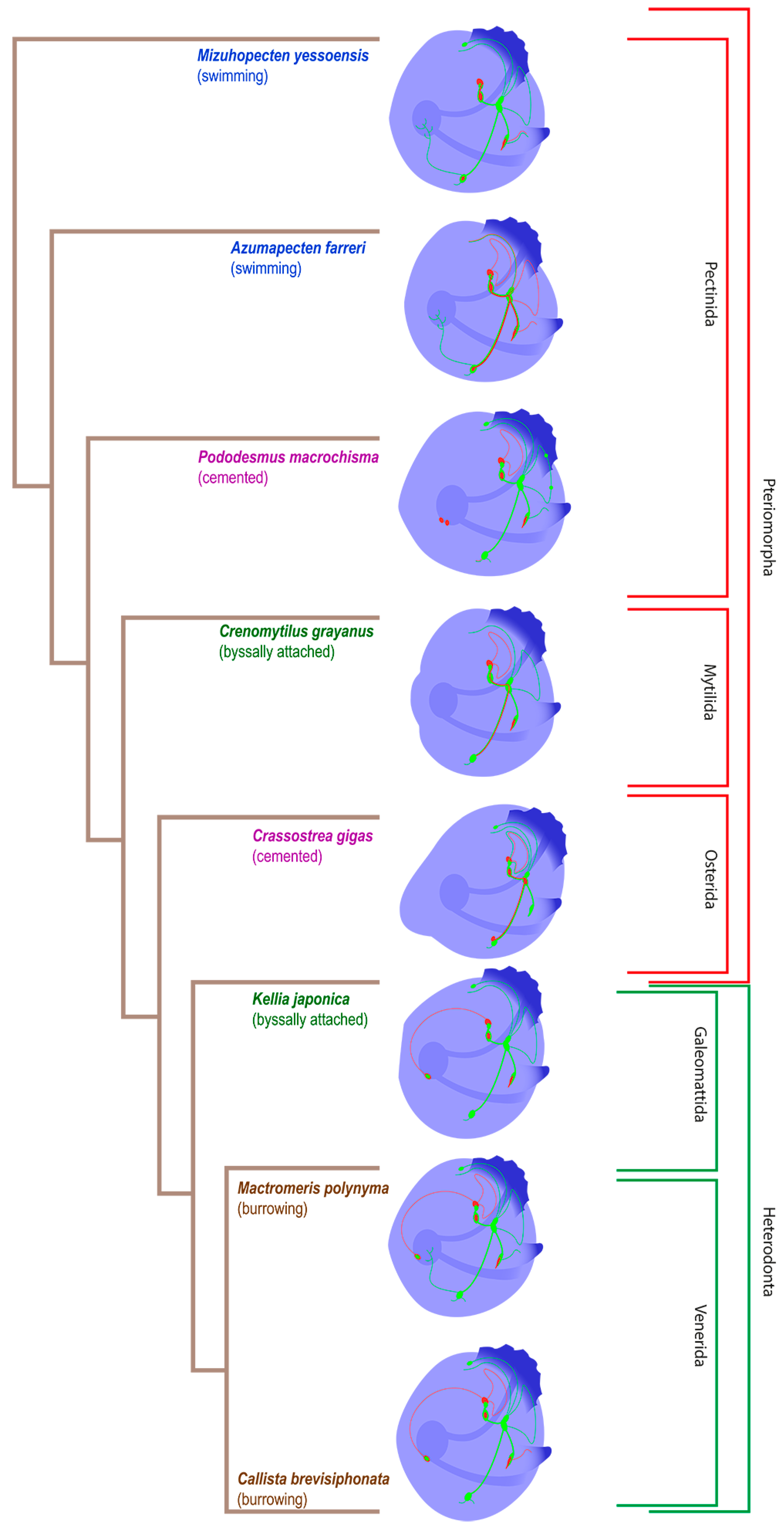 Biology 12 01341 g010