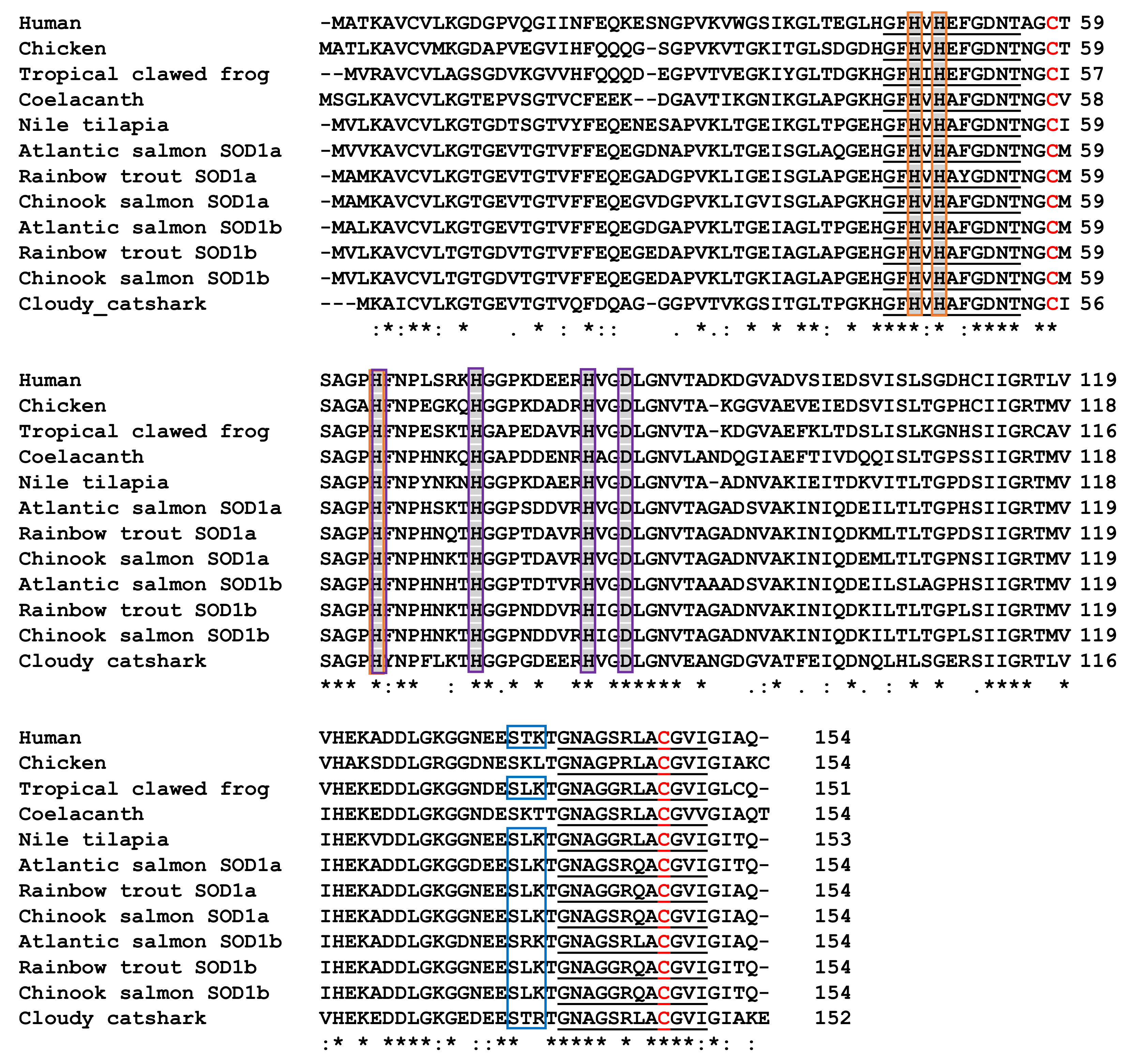 Biology 12 01342 g005 Biology 12 01342 g005