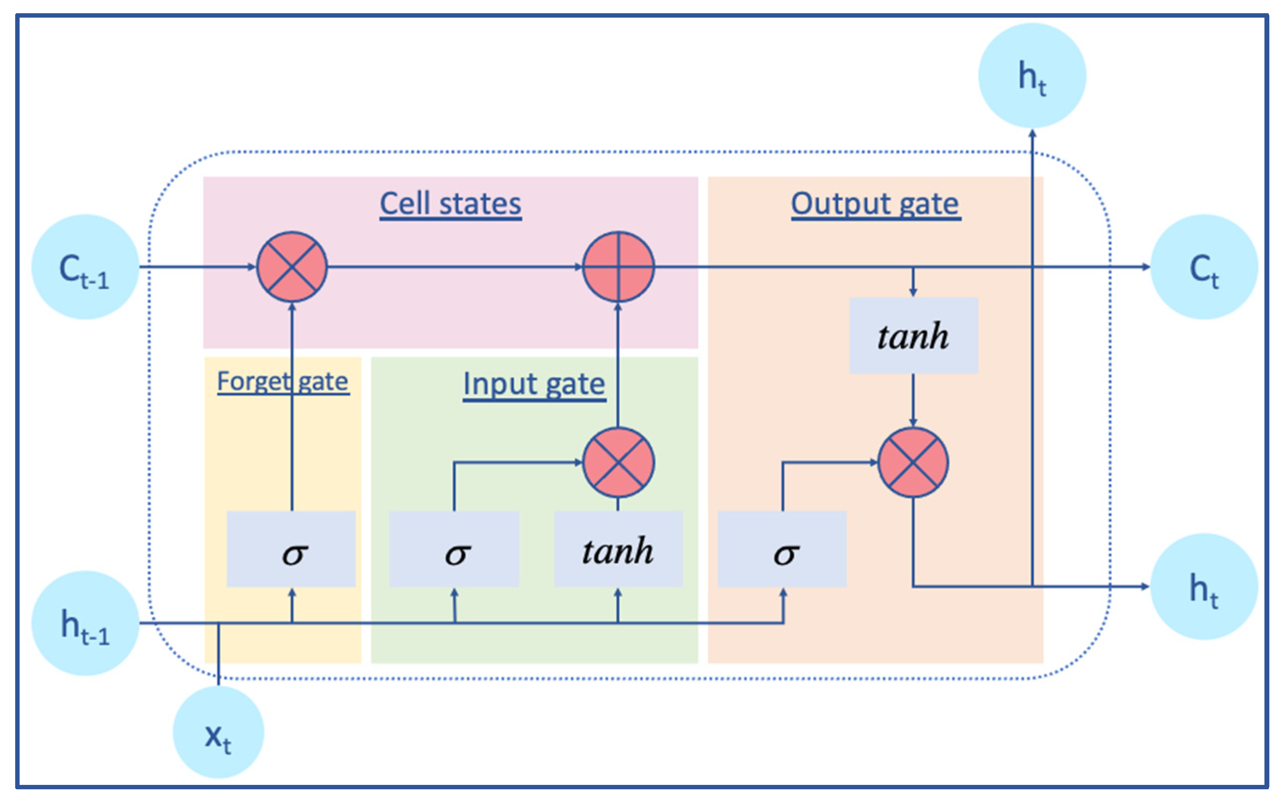 Biology 12 01344 g002