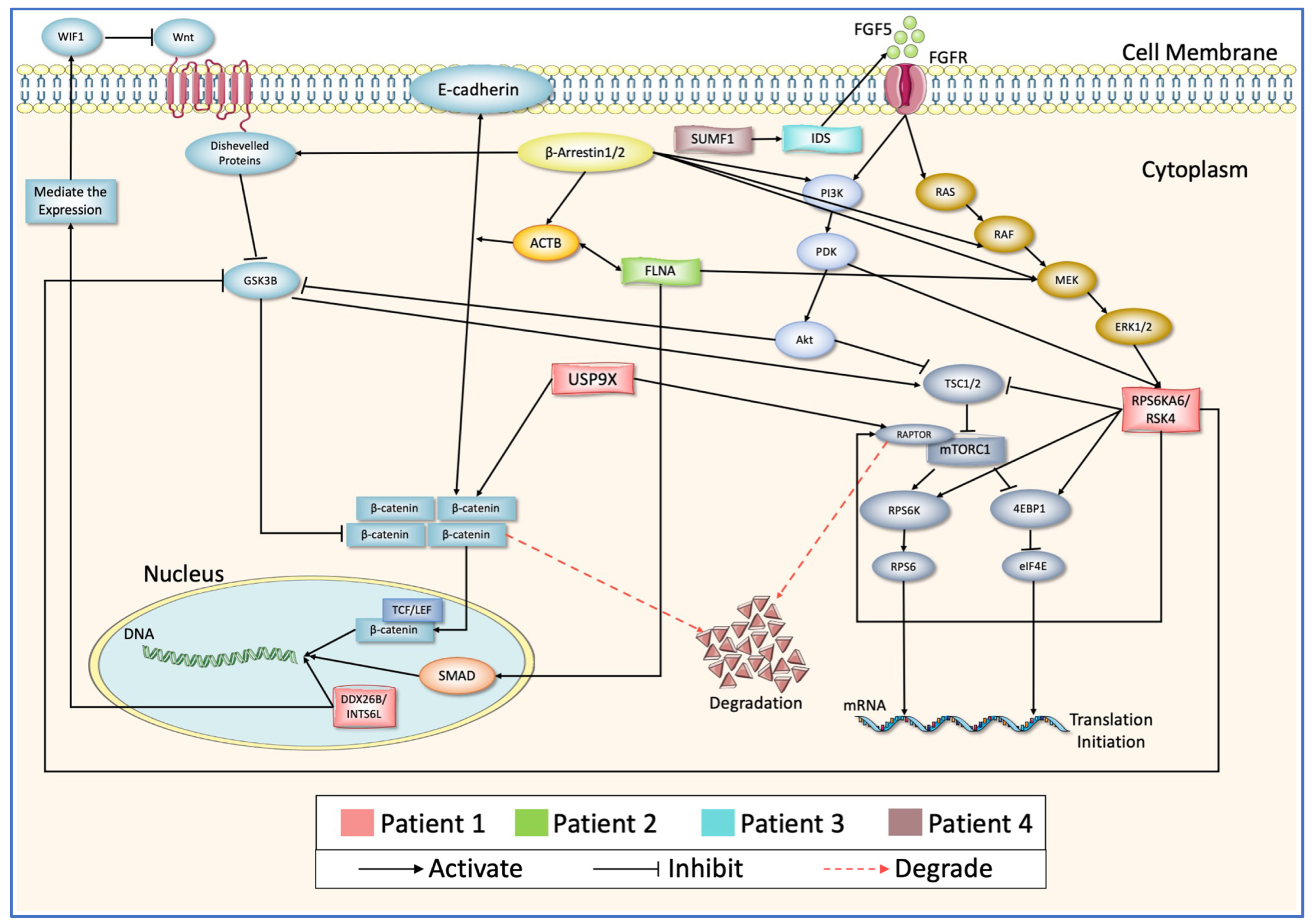 Biology 12 01344 g006