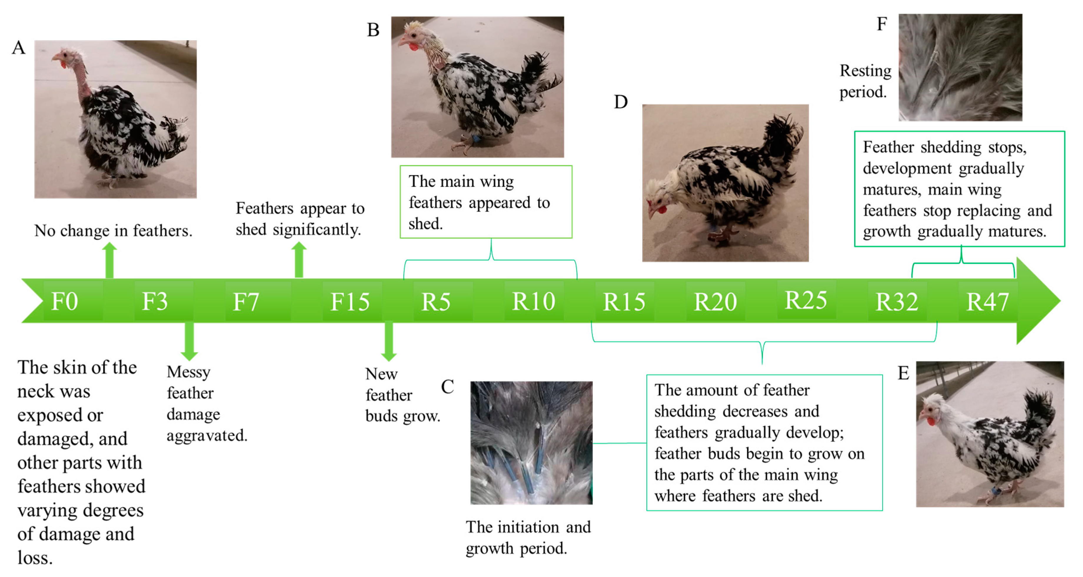 Biology 12 01345 g001