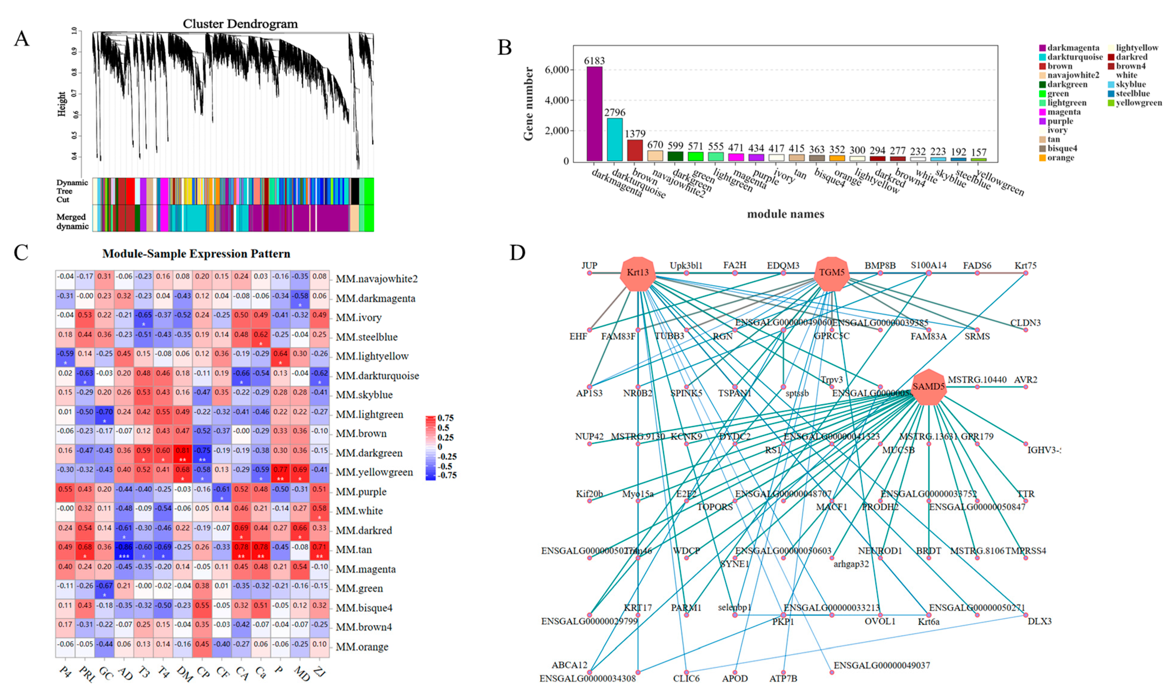 Biology 12 01345 g008