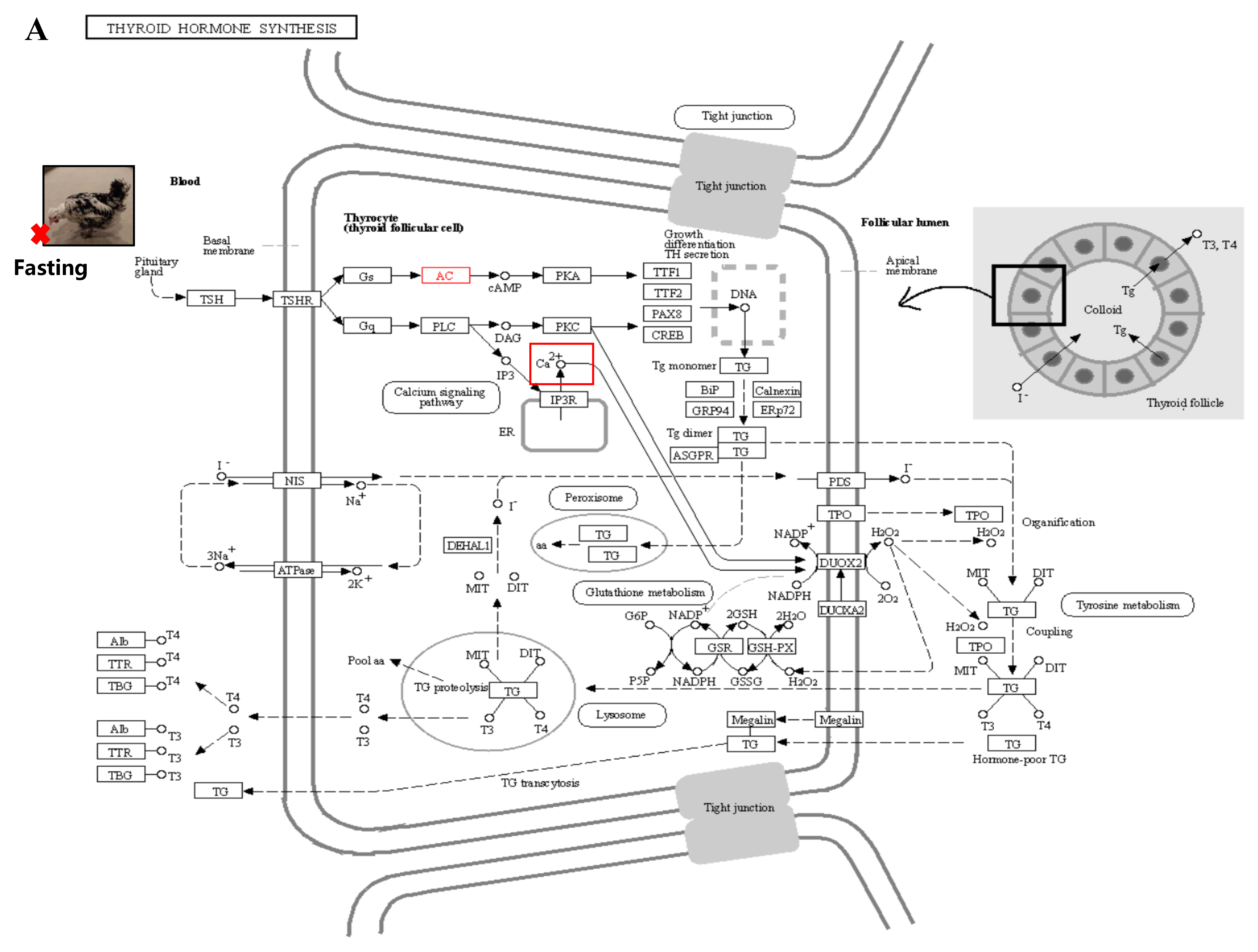 Biology 12 01345 g010a