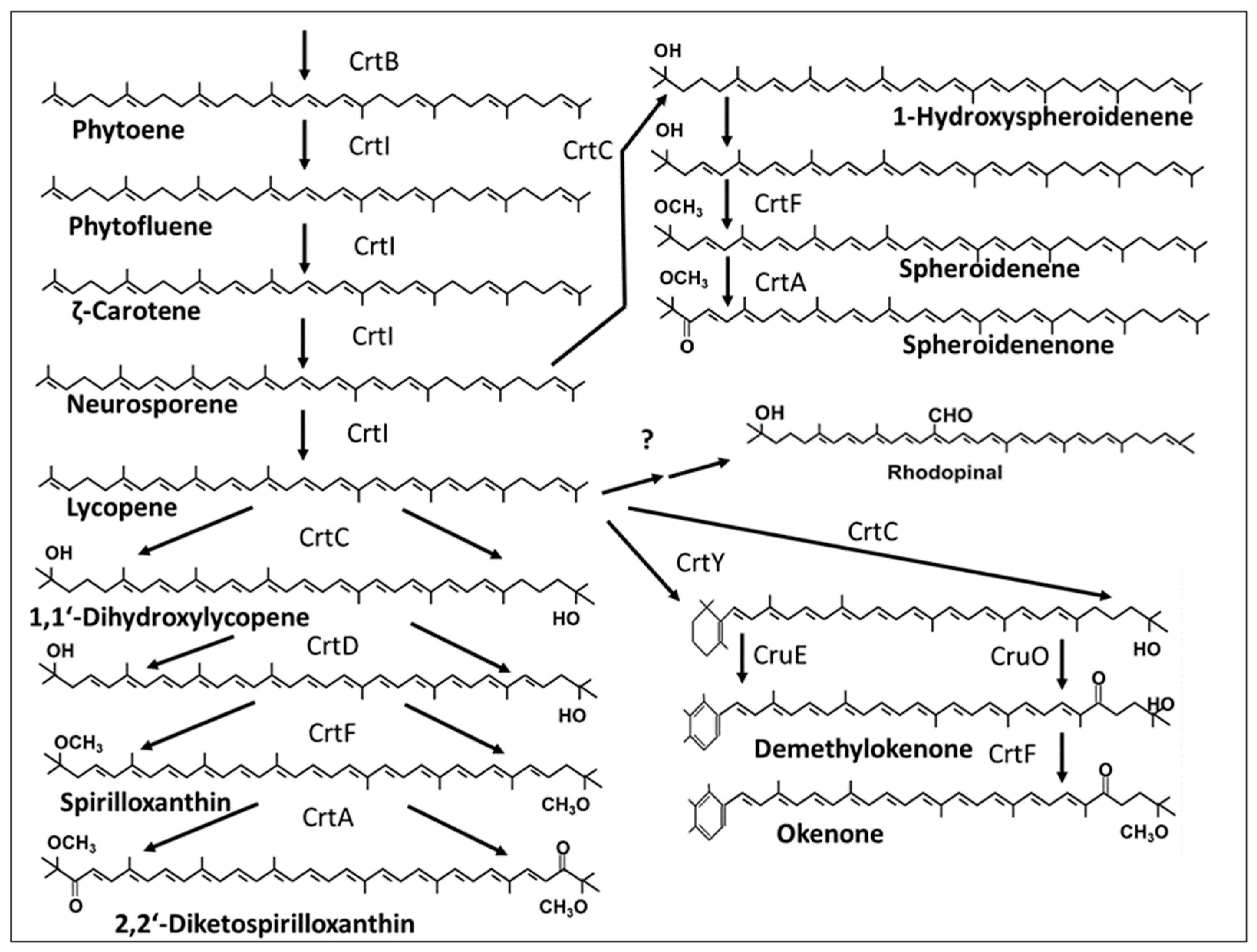 Biology 12 01346 g002 Biology 12 01346 g002