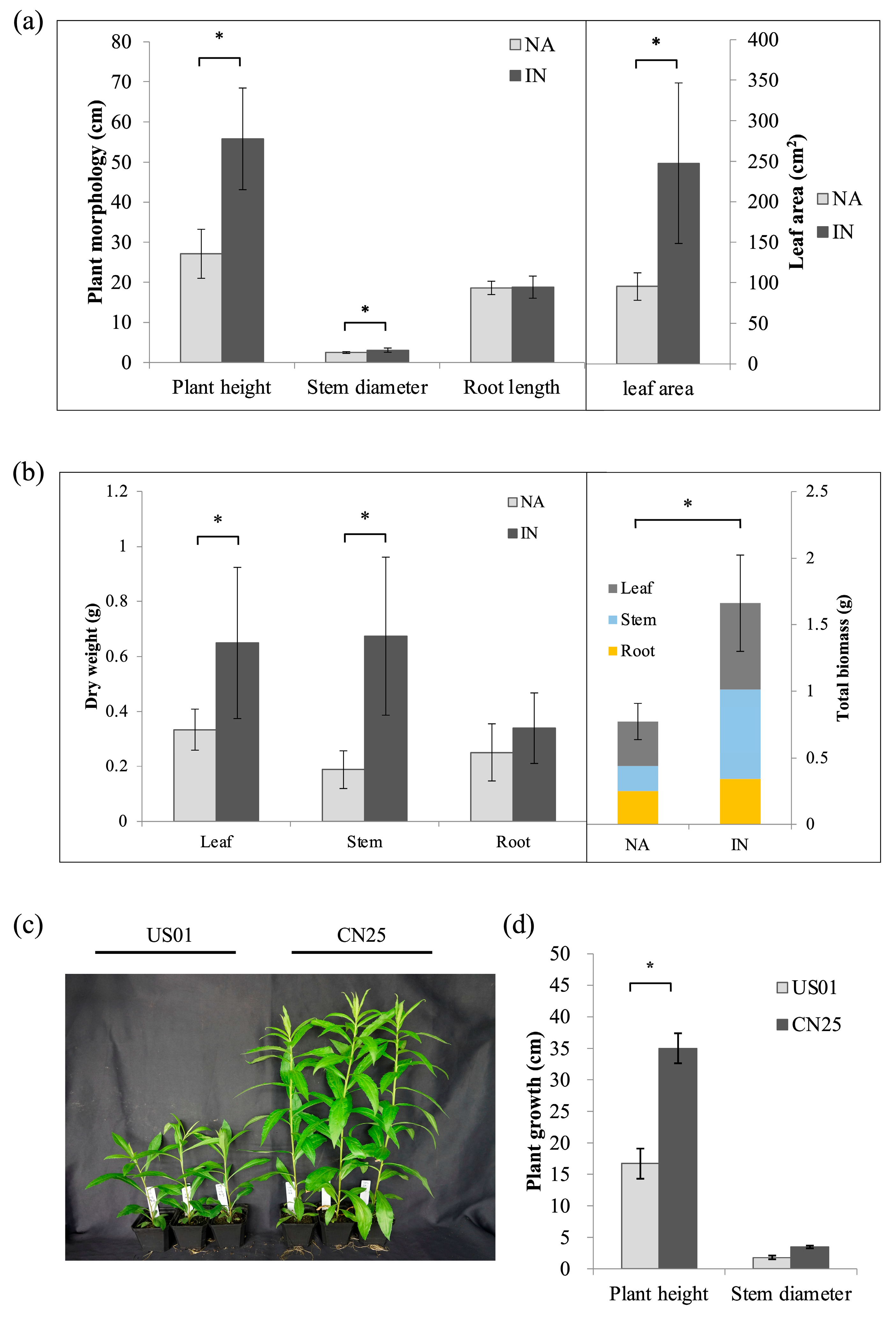 Biology 12 01347 g001