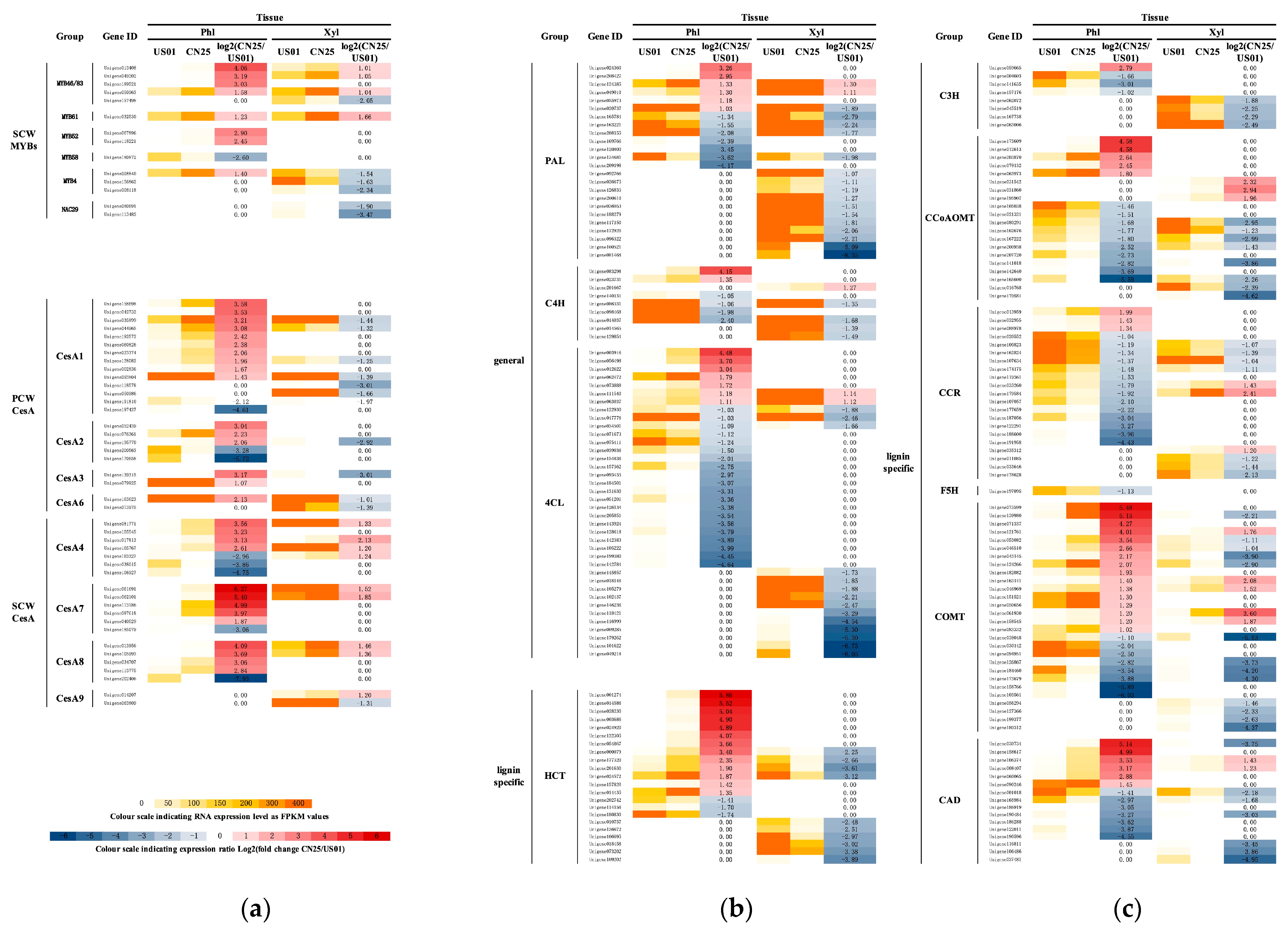 Biology 12 01347 g002