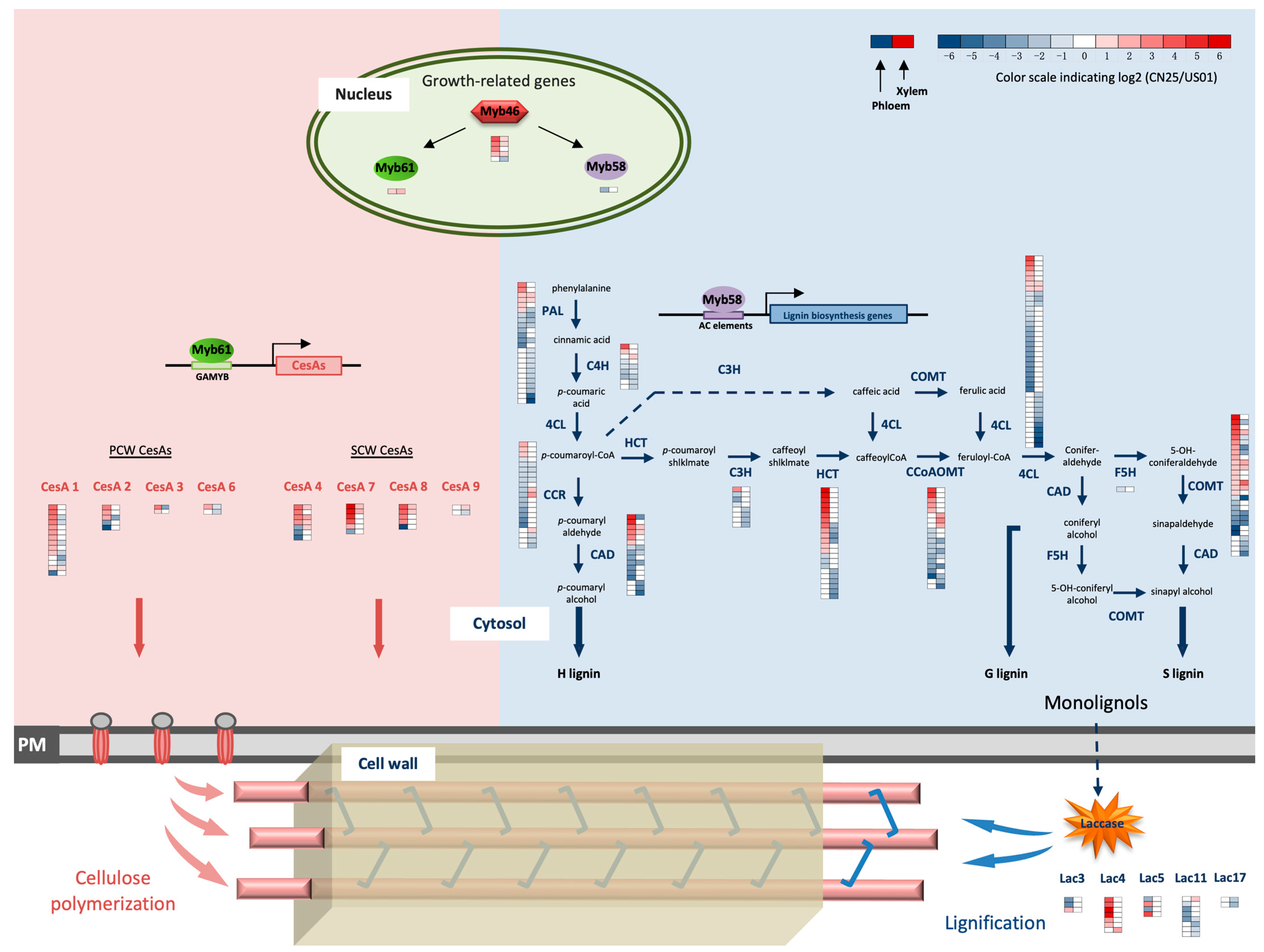 Biology 12 01347 g005