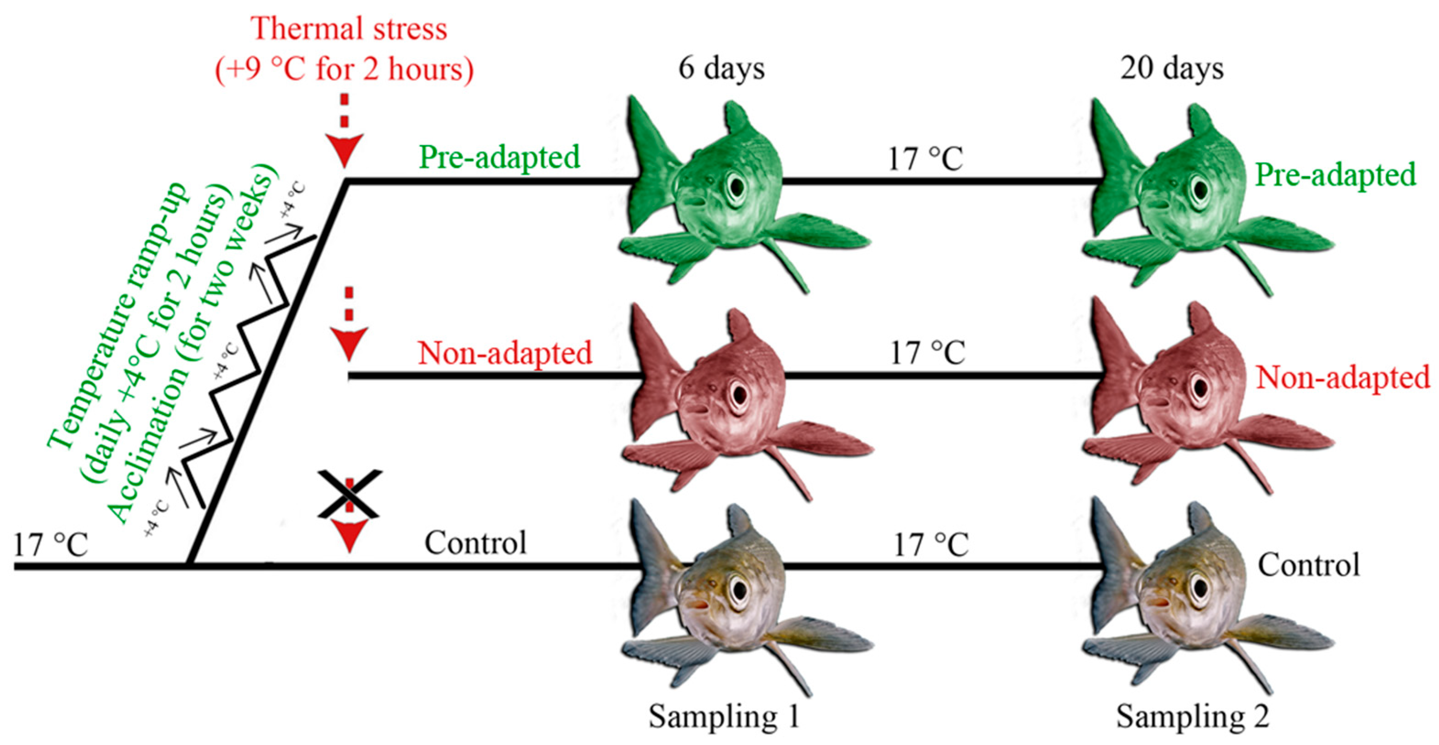 Biology 12 01348 g001