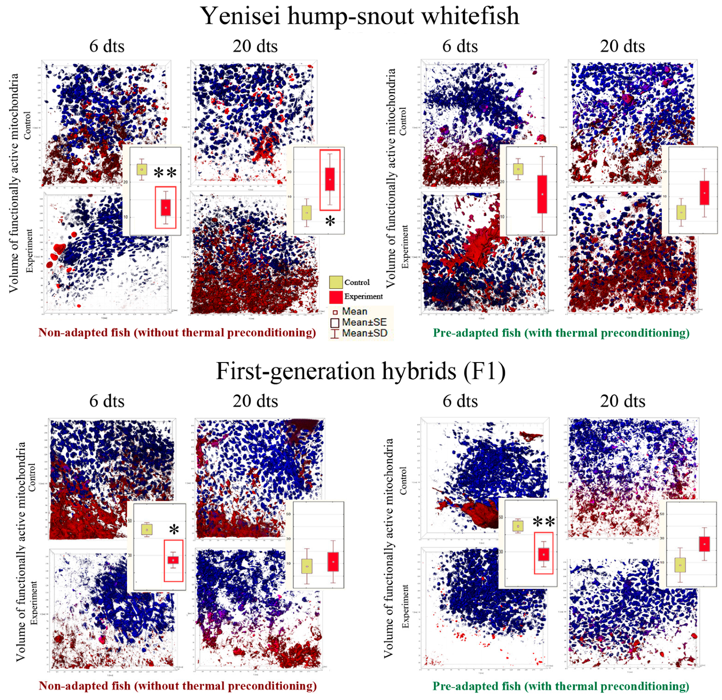 Biology 12 01348 g004