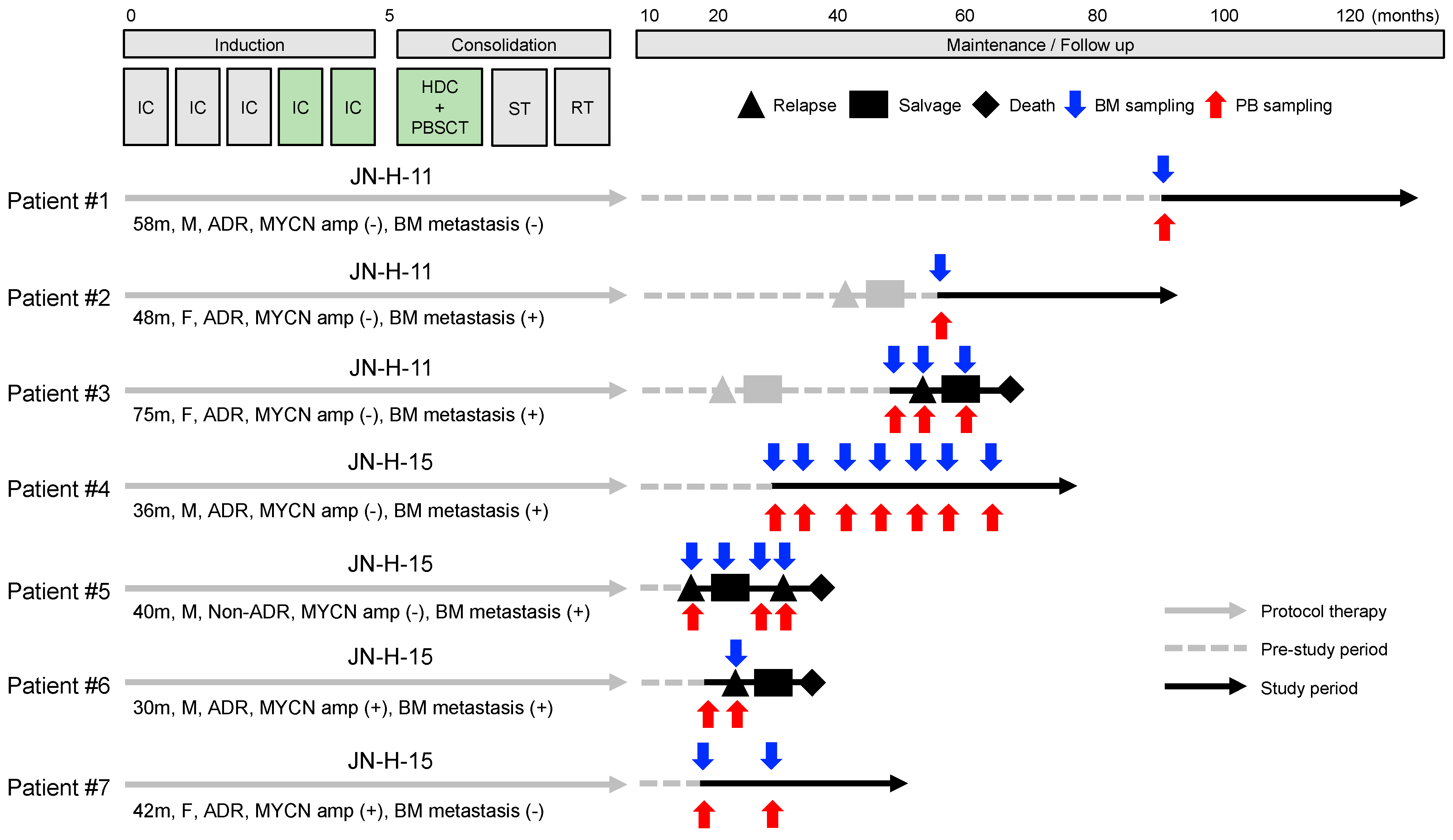 Biology 12 01350 g001