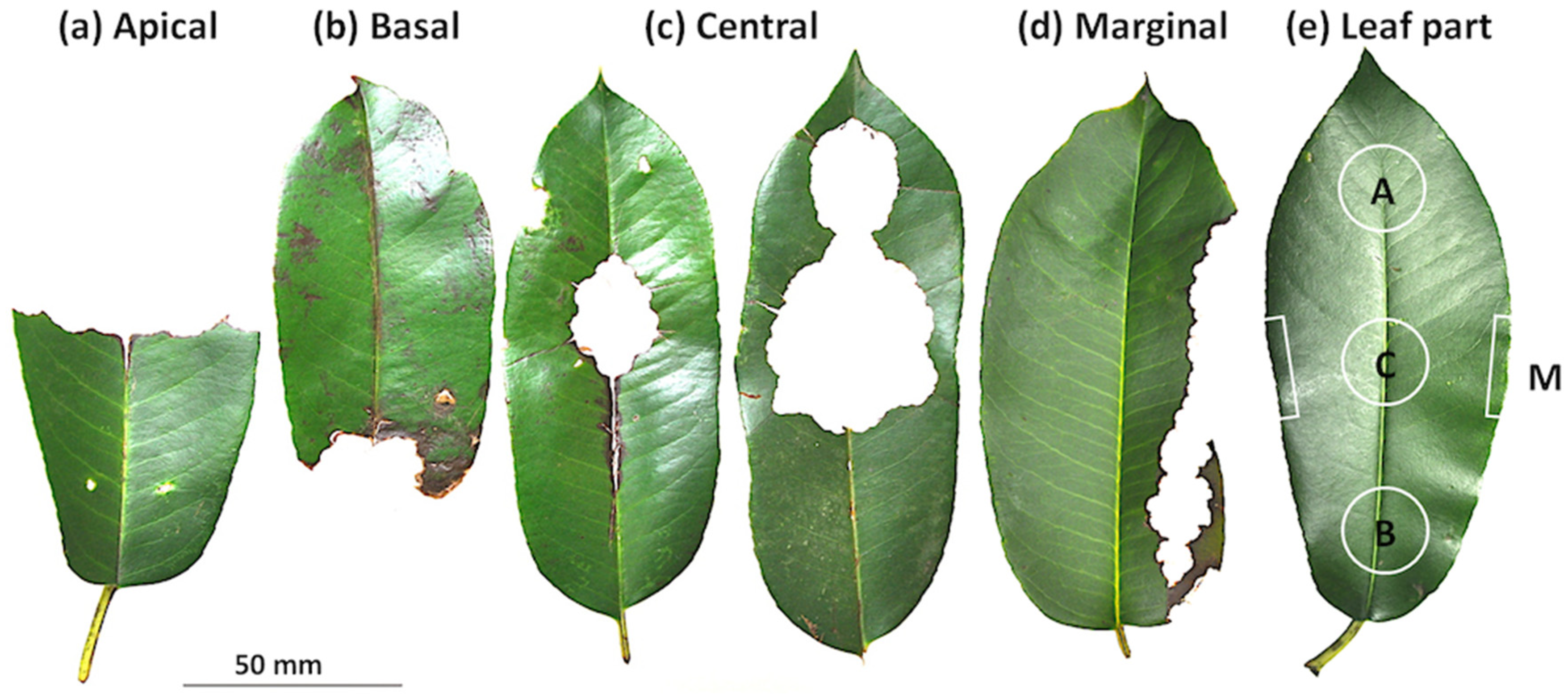 Biology 12 01352 g001 Biology 12 01352 g001