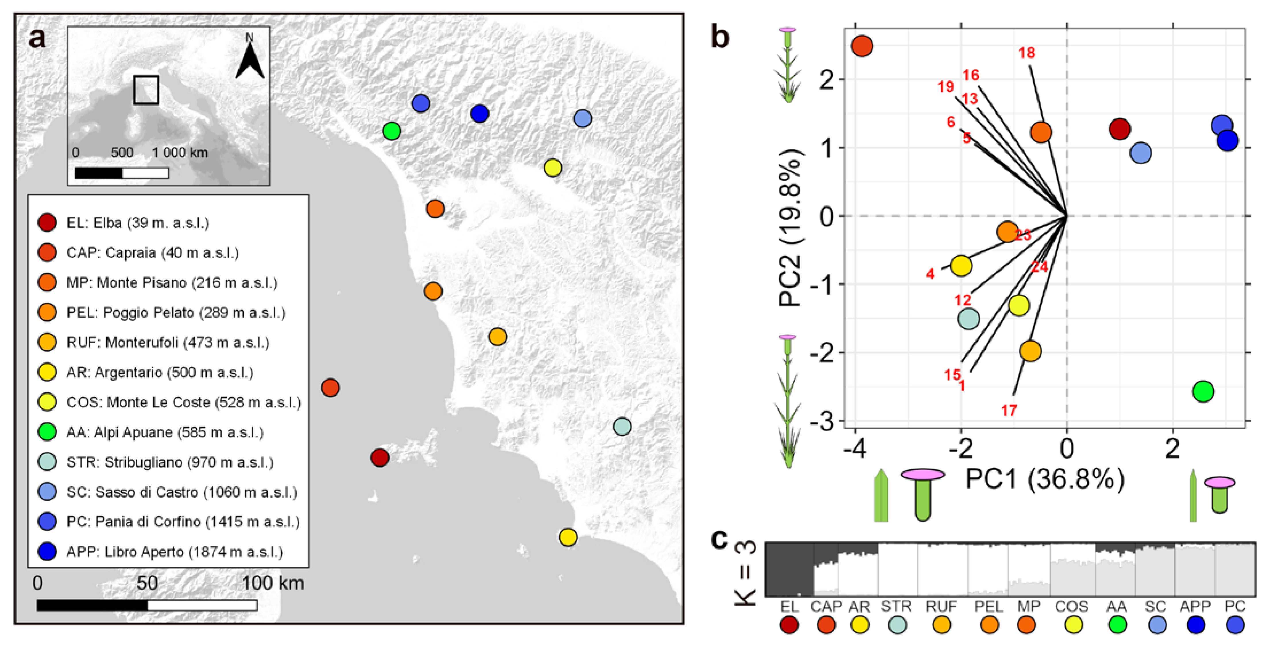 Biology 12 01355 g001
