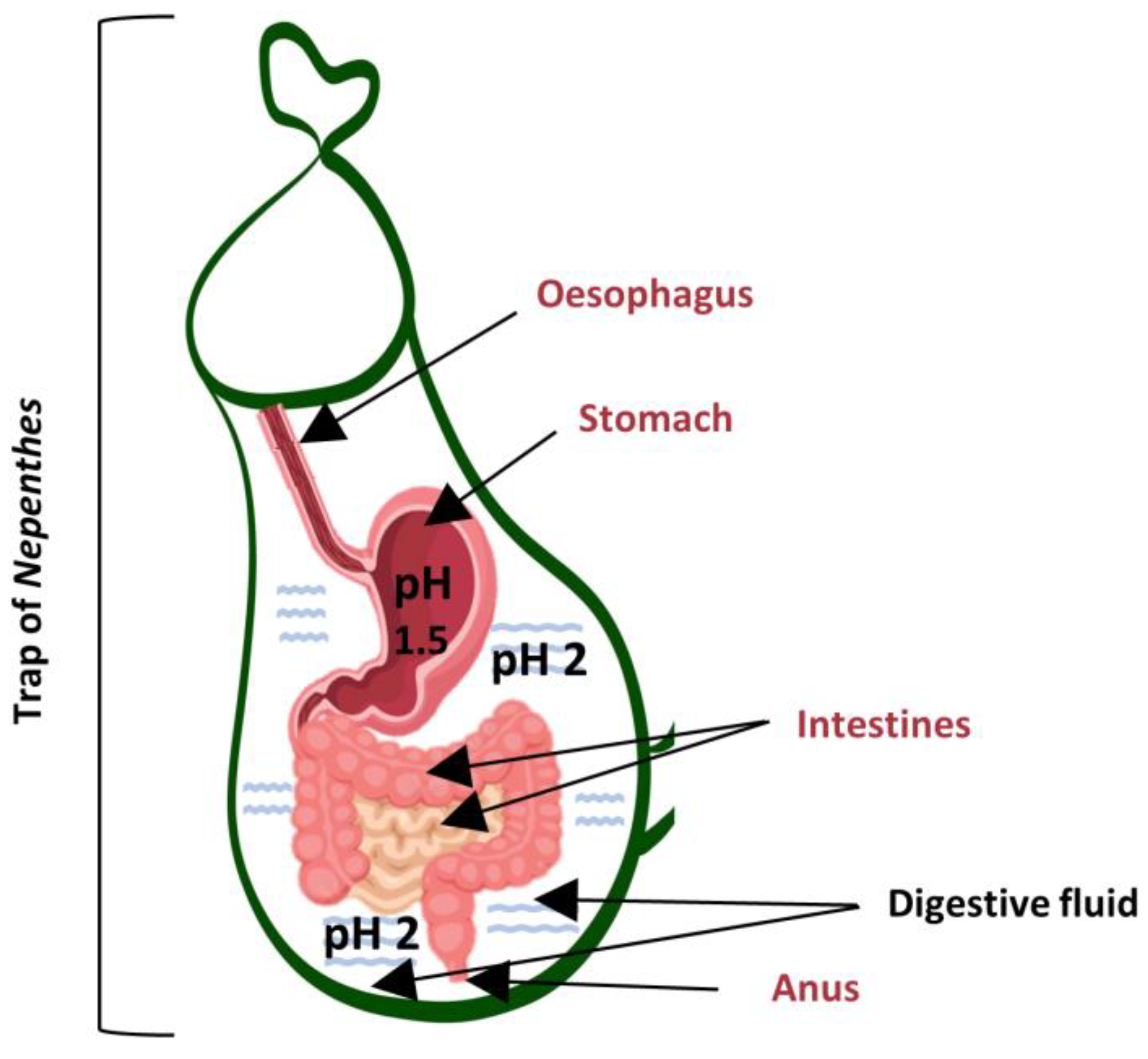 Biology 12 01356 g003 Biology 12 01356 g003