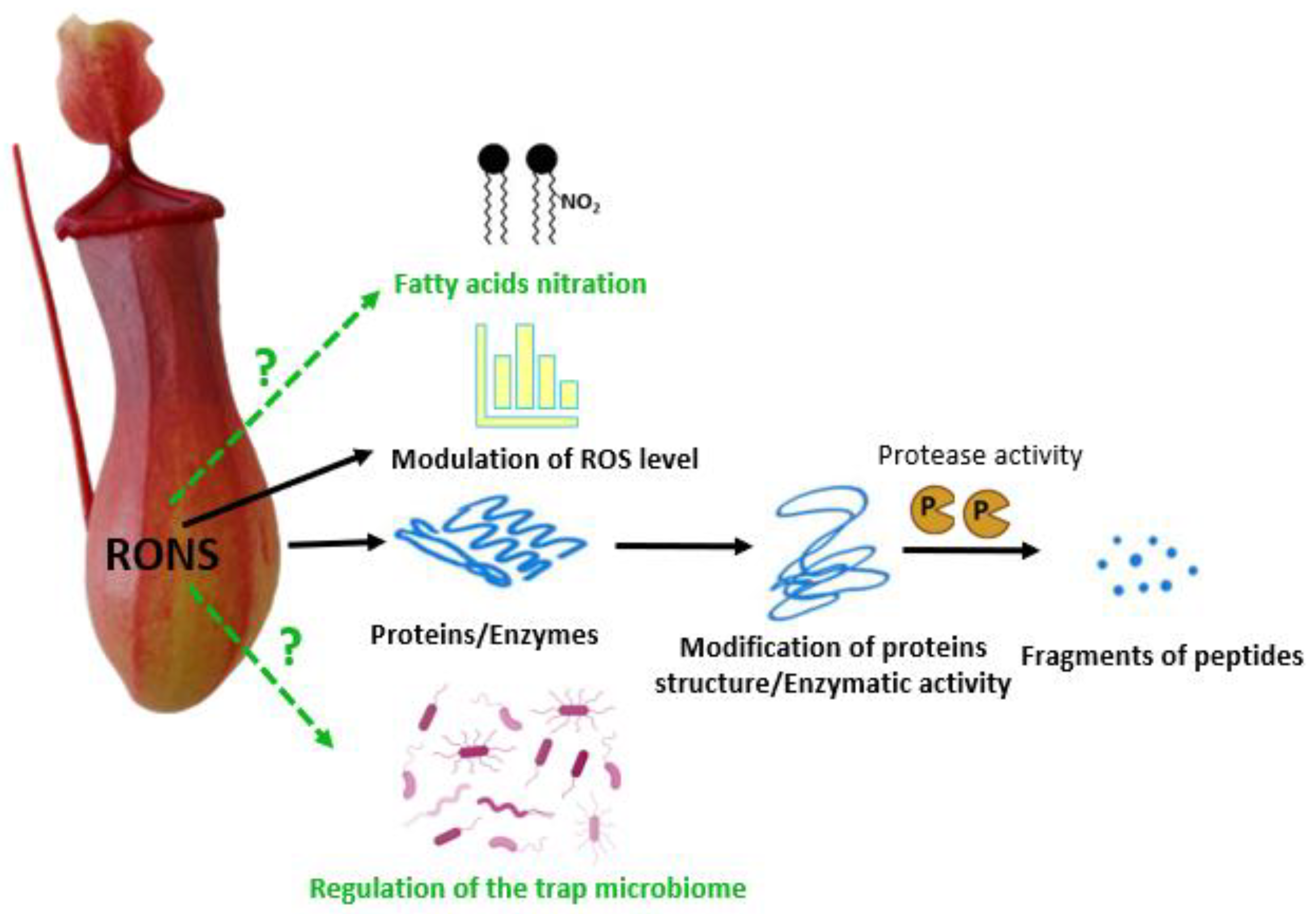 Biology 12 01356 g004 Biology 12 01356 g004