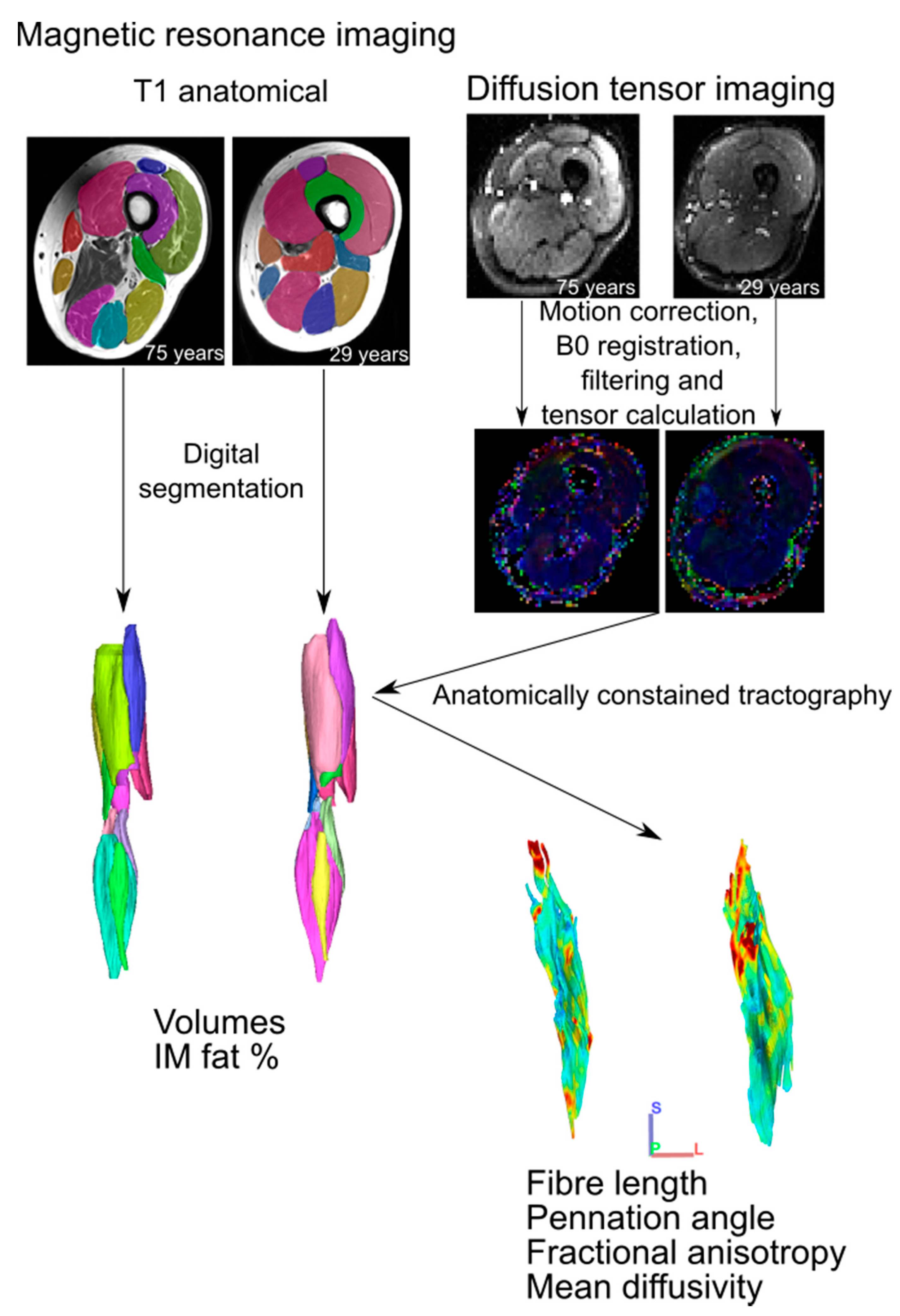 Biology 12 01357 g001 Biology 12 01357 g001