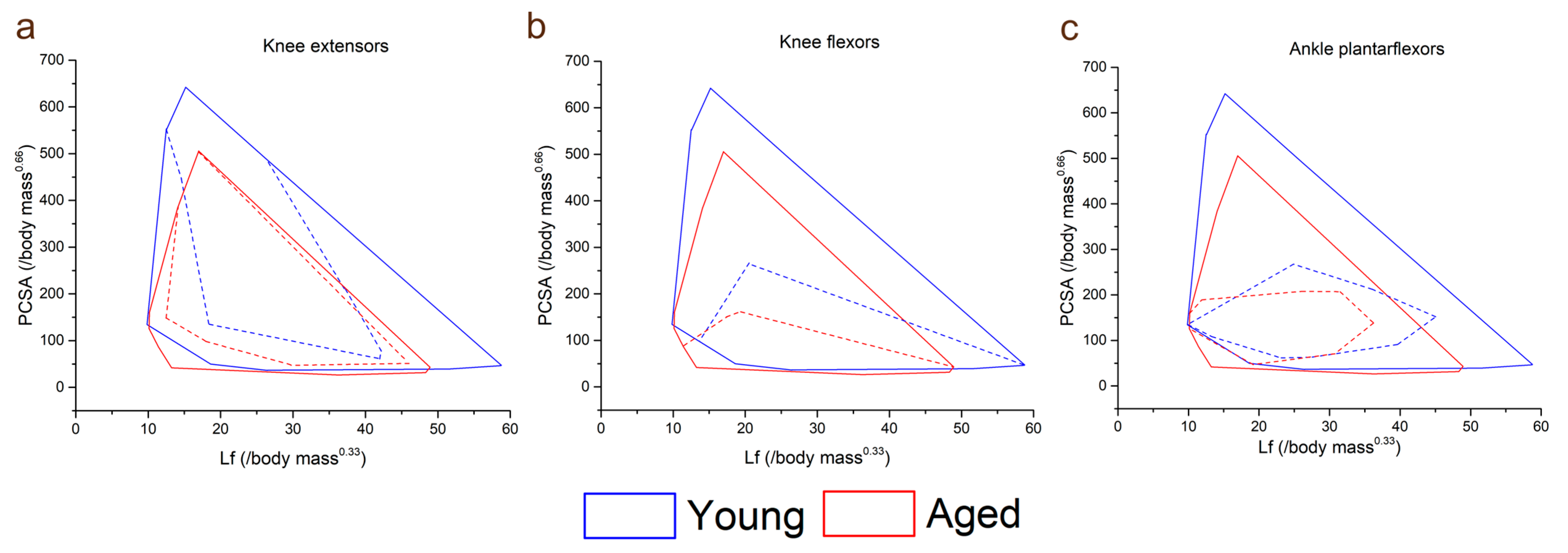 Biology 12 01357 g003 Biology 12 01357 g003