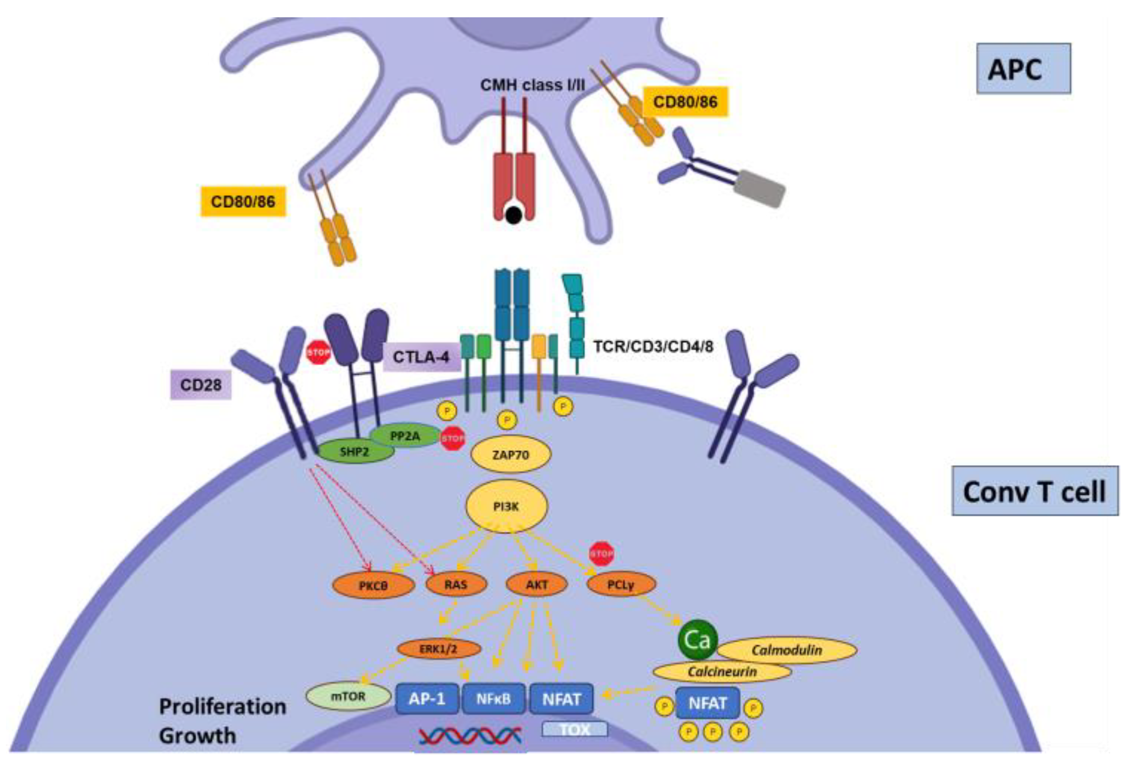 Biology 12 01358 g001