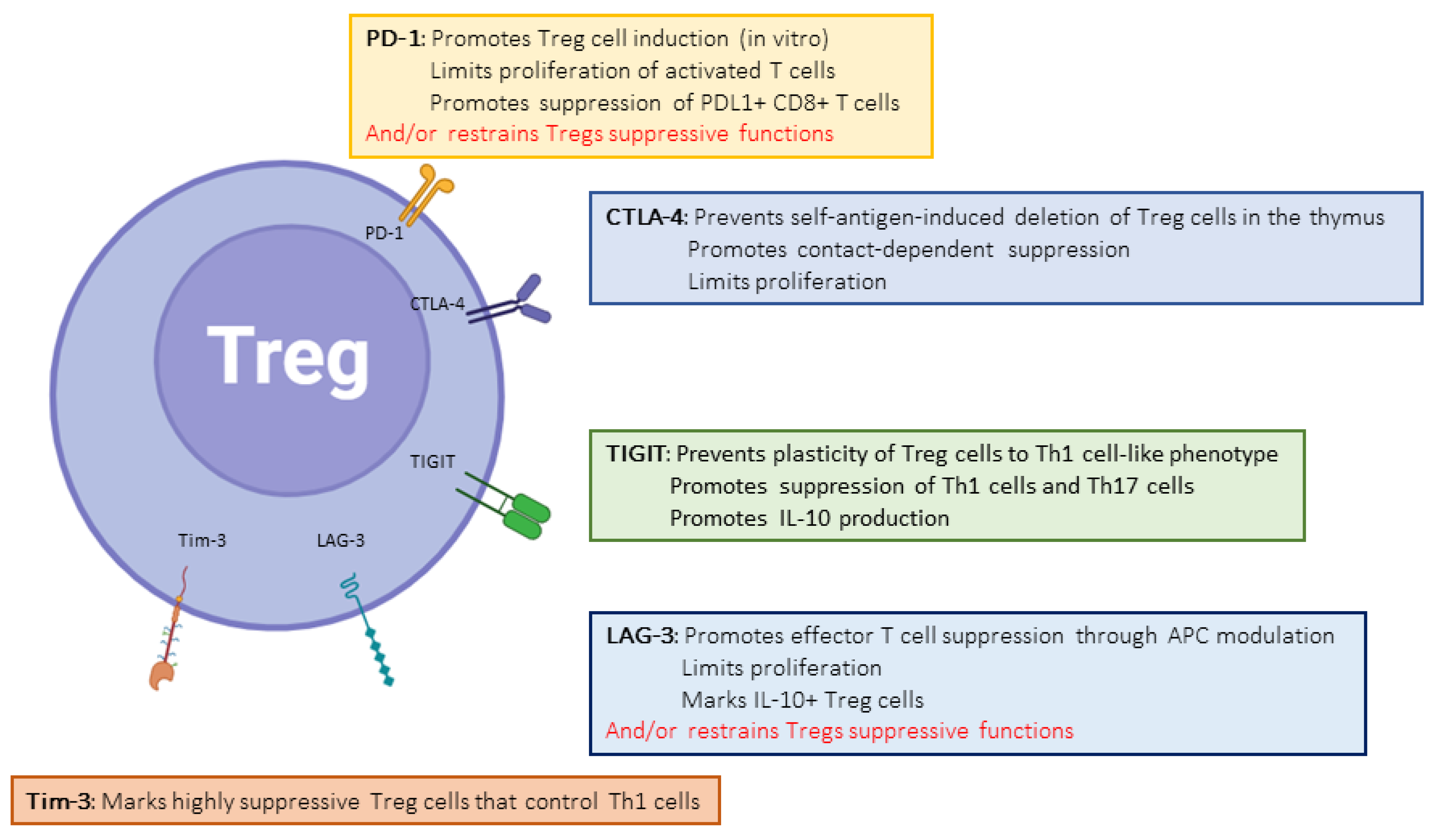 Biology 12 01358 g002