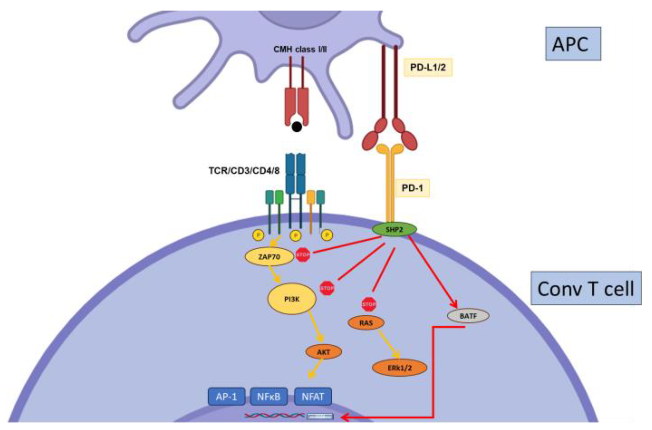 Biology 12 01358 g003