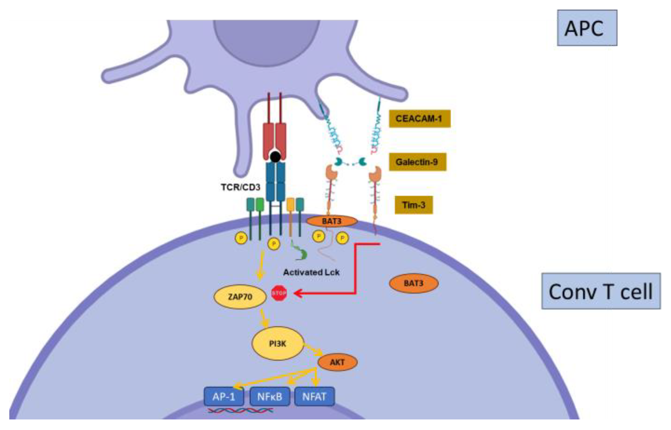 Biology 12 01358 g004