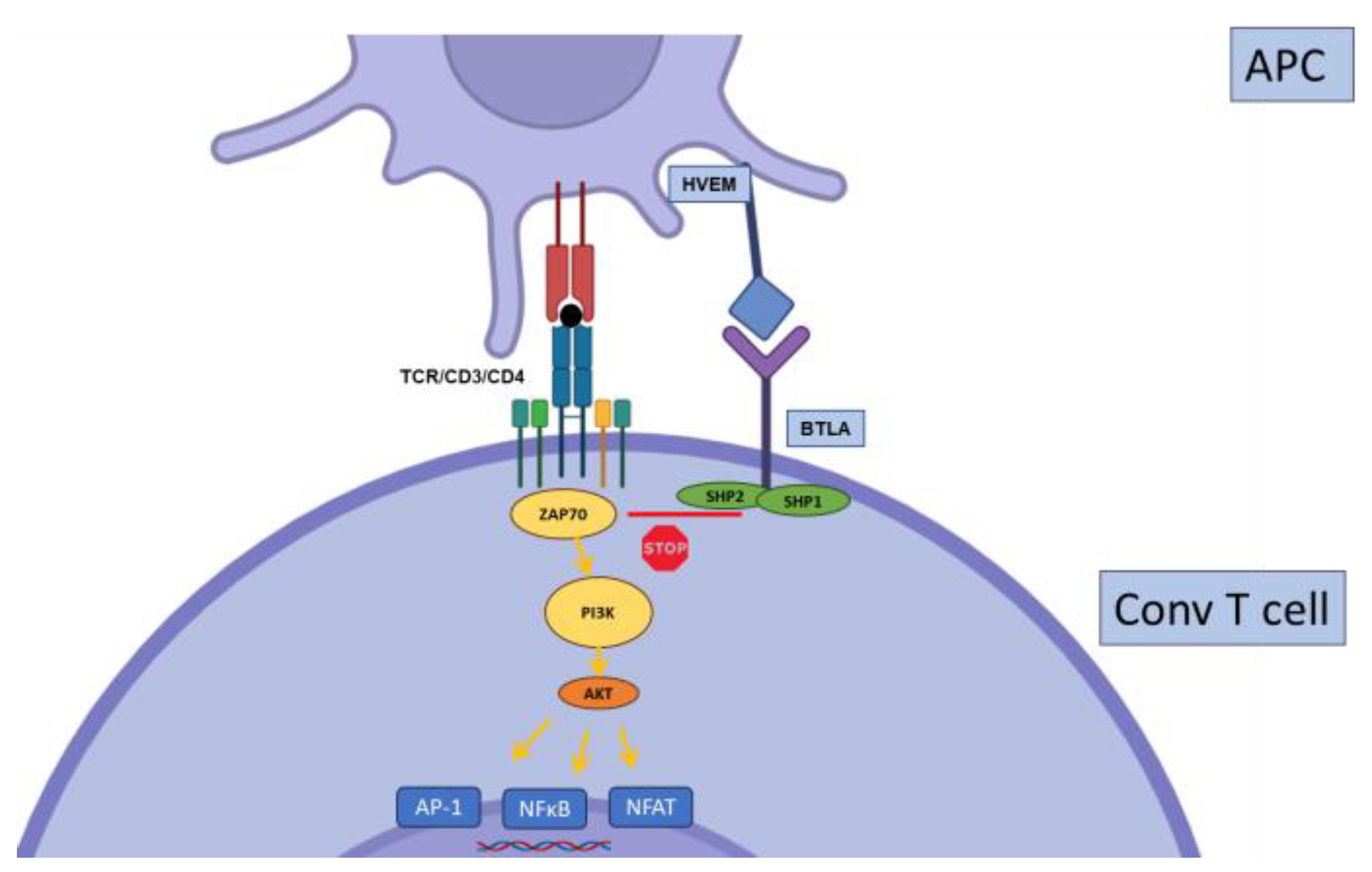 Biology 12 01358 g005