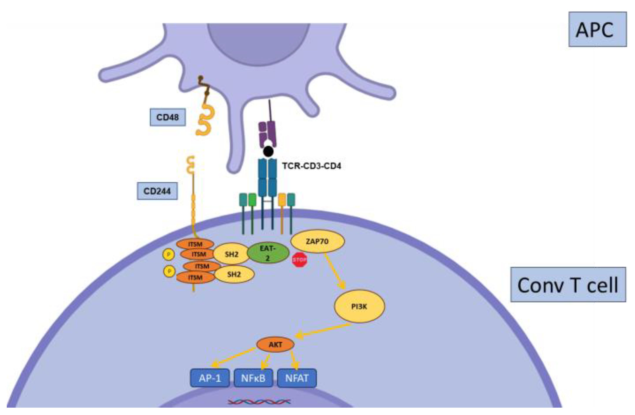 Biology 12 01358 g007