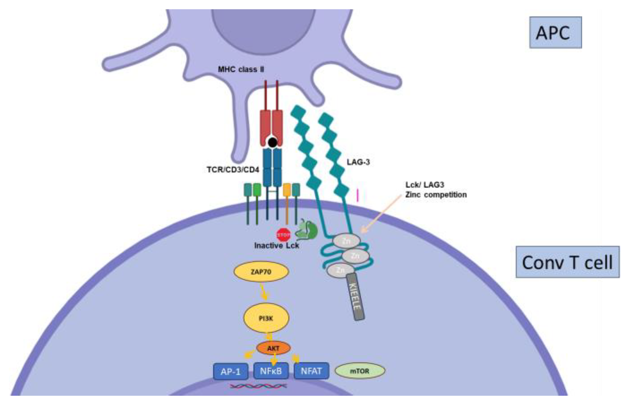 Biology 12 01358 g008