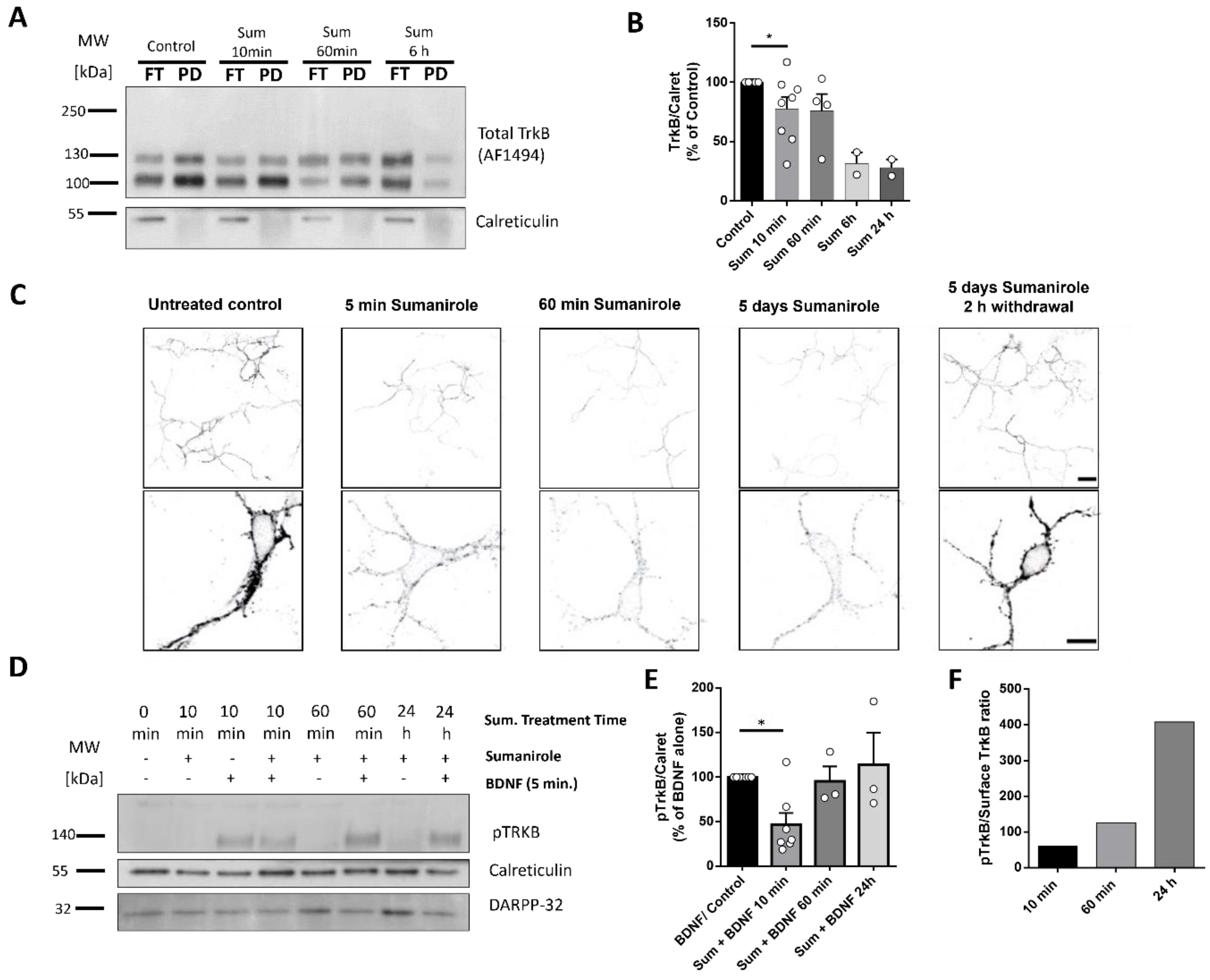 Biology 12 01360 g002 Biology 12 01360 g002