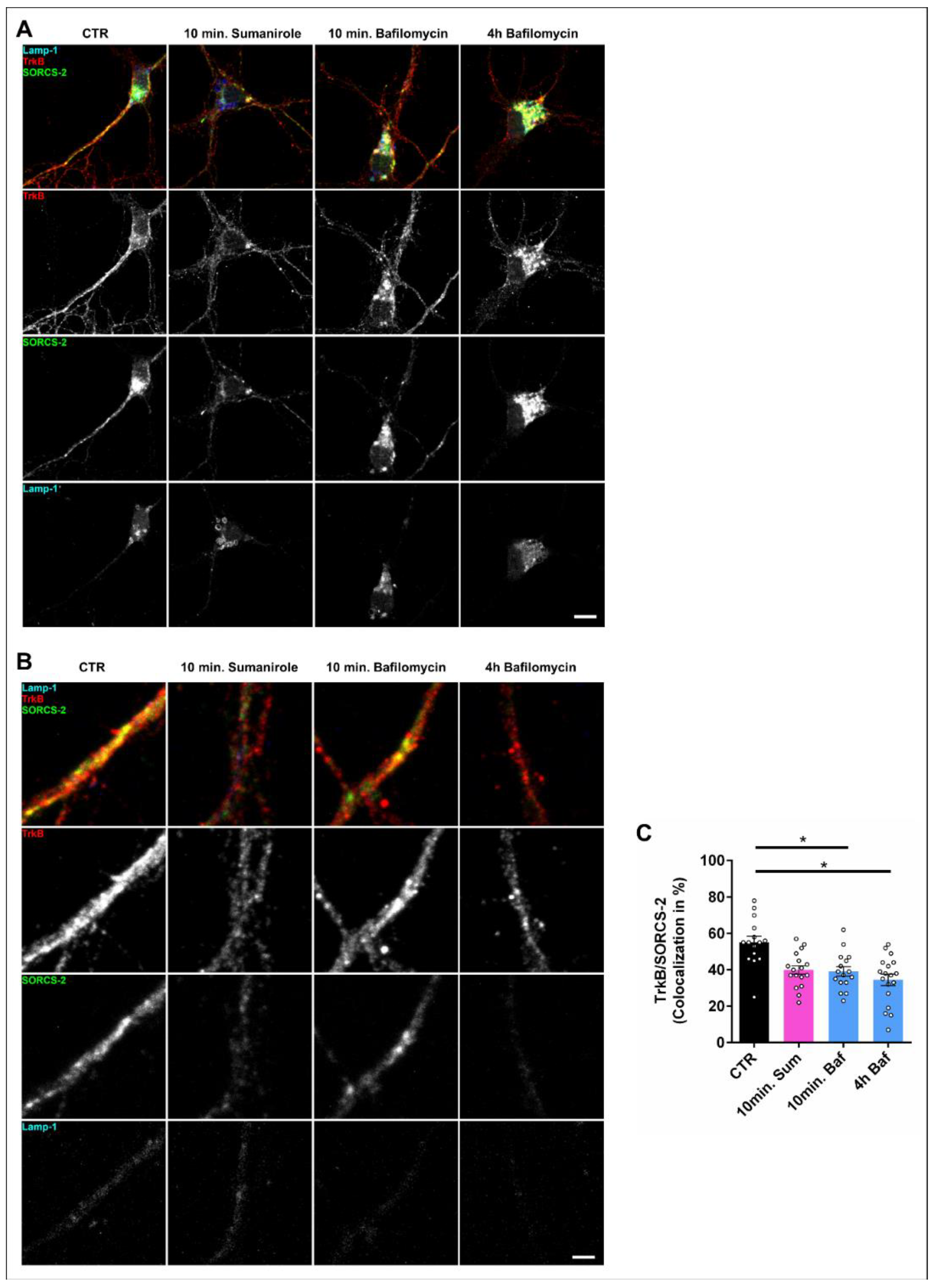 Biology 12 01360 g003 Biology 12 01360 g003